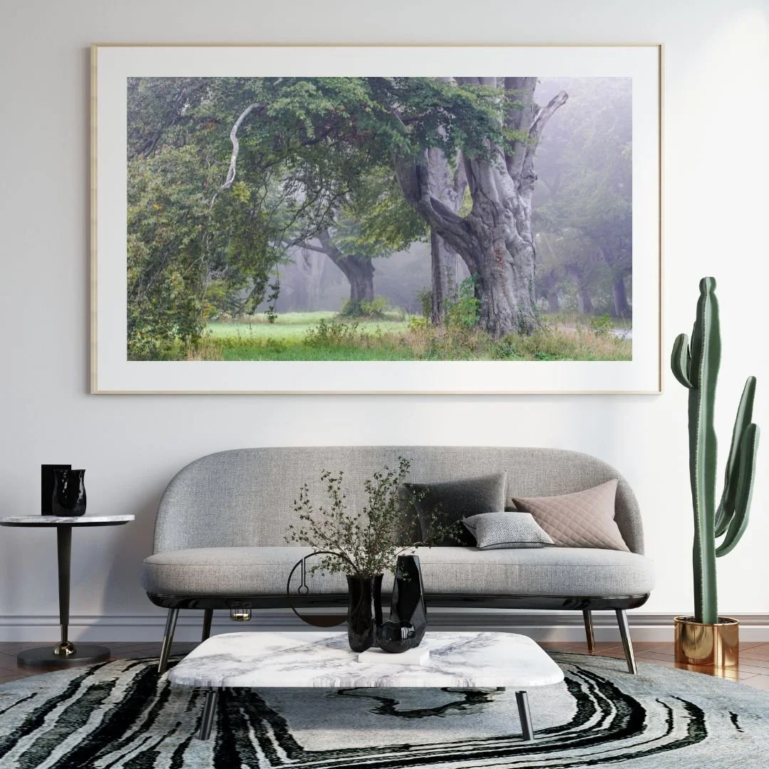 Untitled design (17).jpg