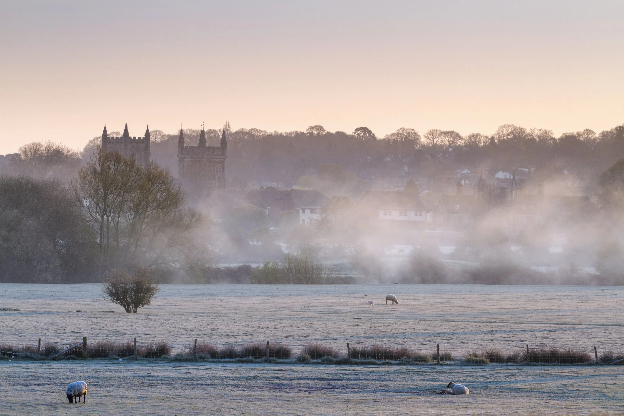 Wimborne minster on a misty morning.