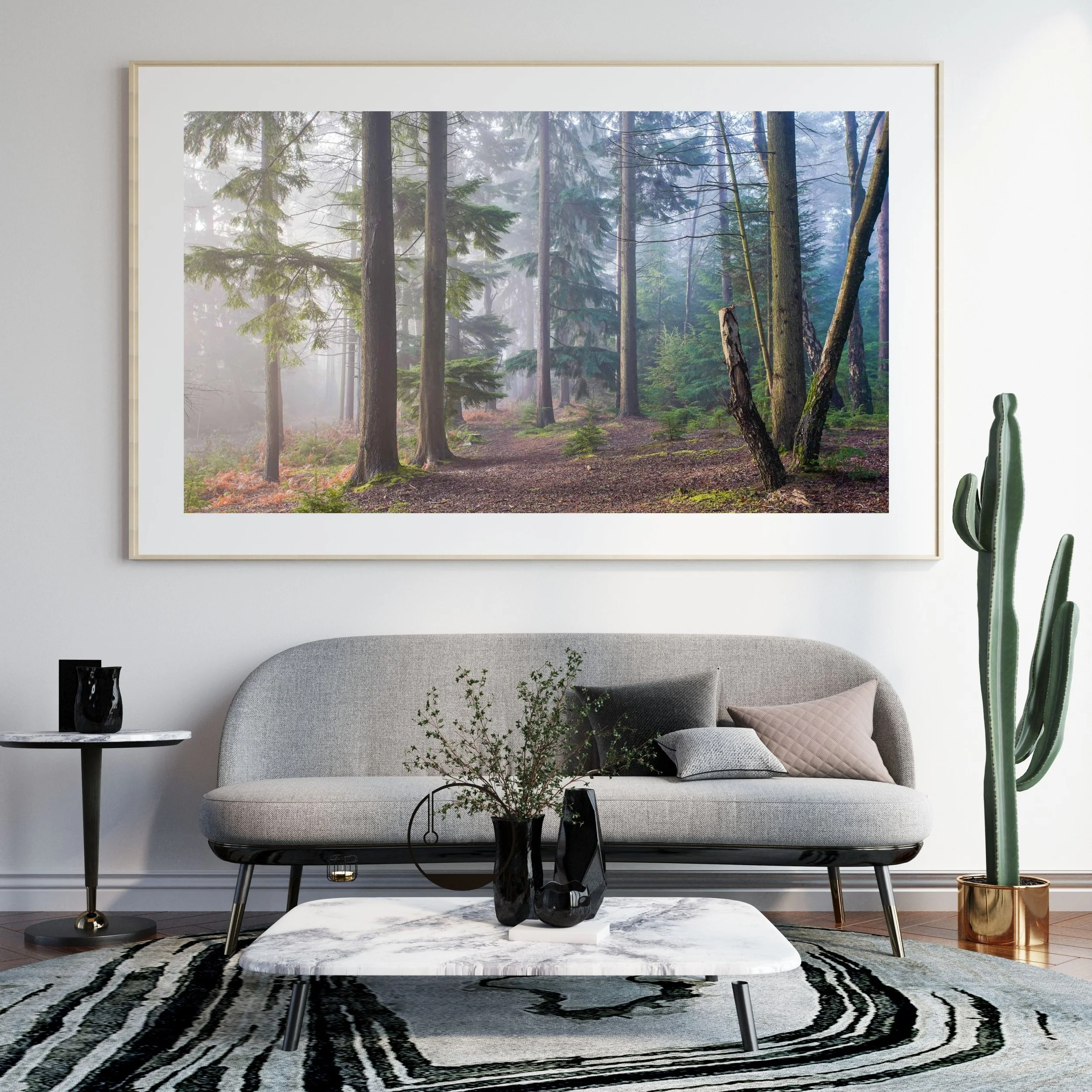 dreamy forest scenery.jpg