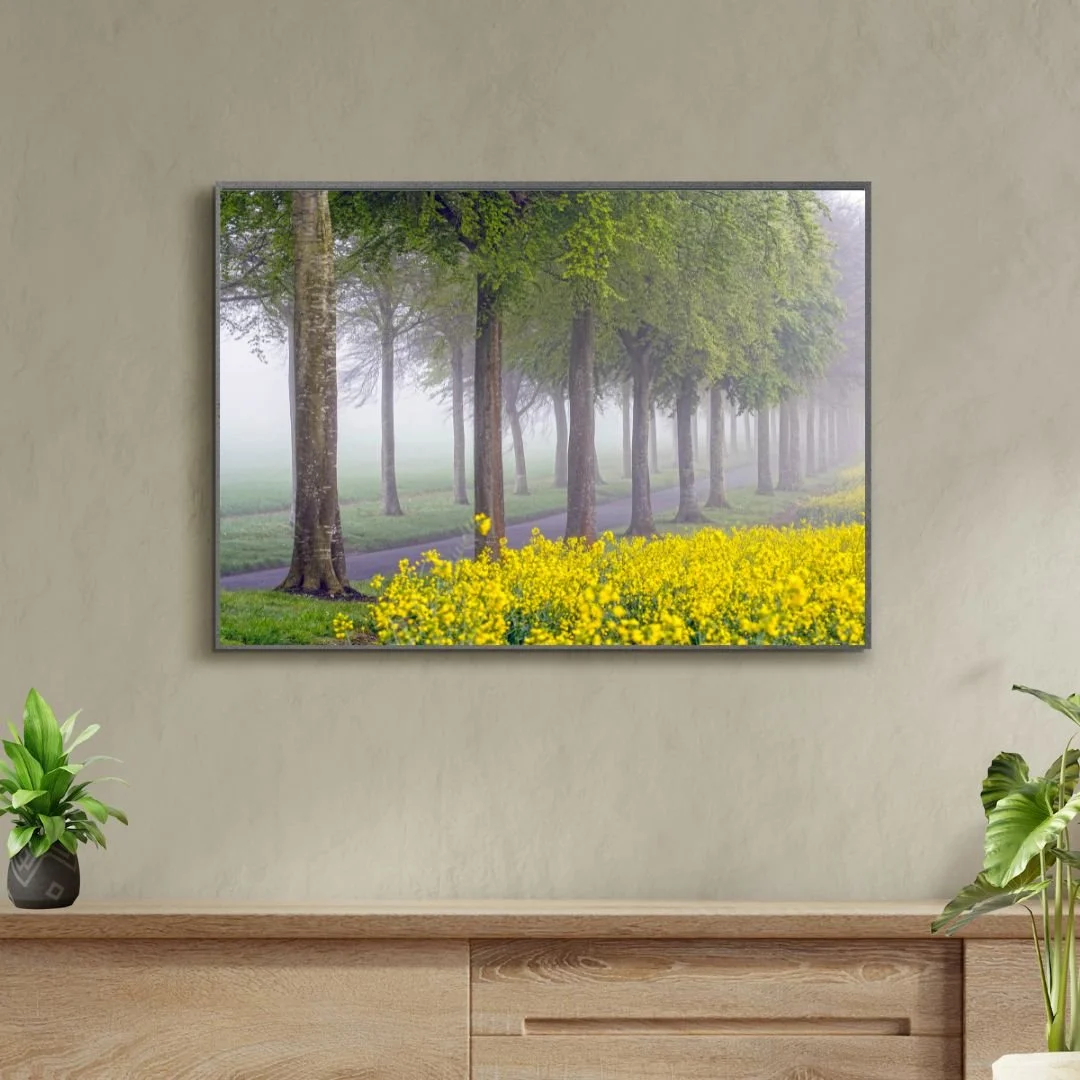 rapeseed moor chicrel.jpg