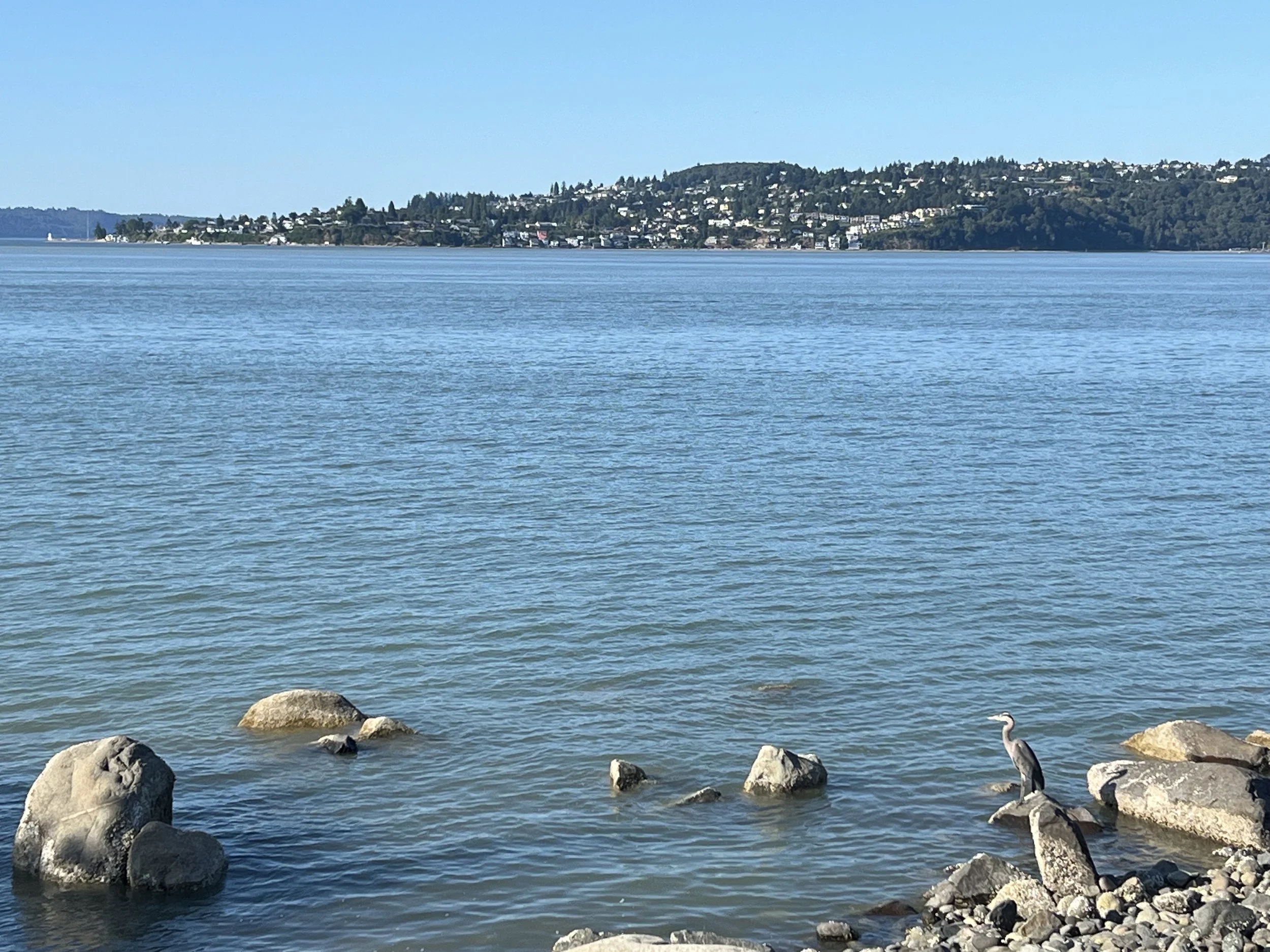 Ways to Get Outside in Tacoma