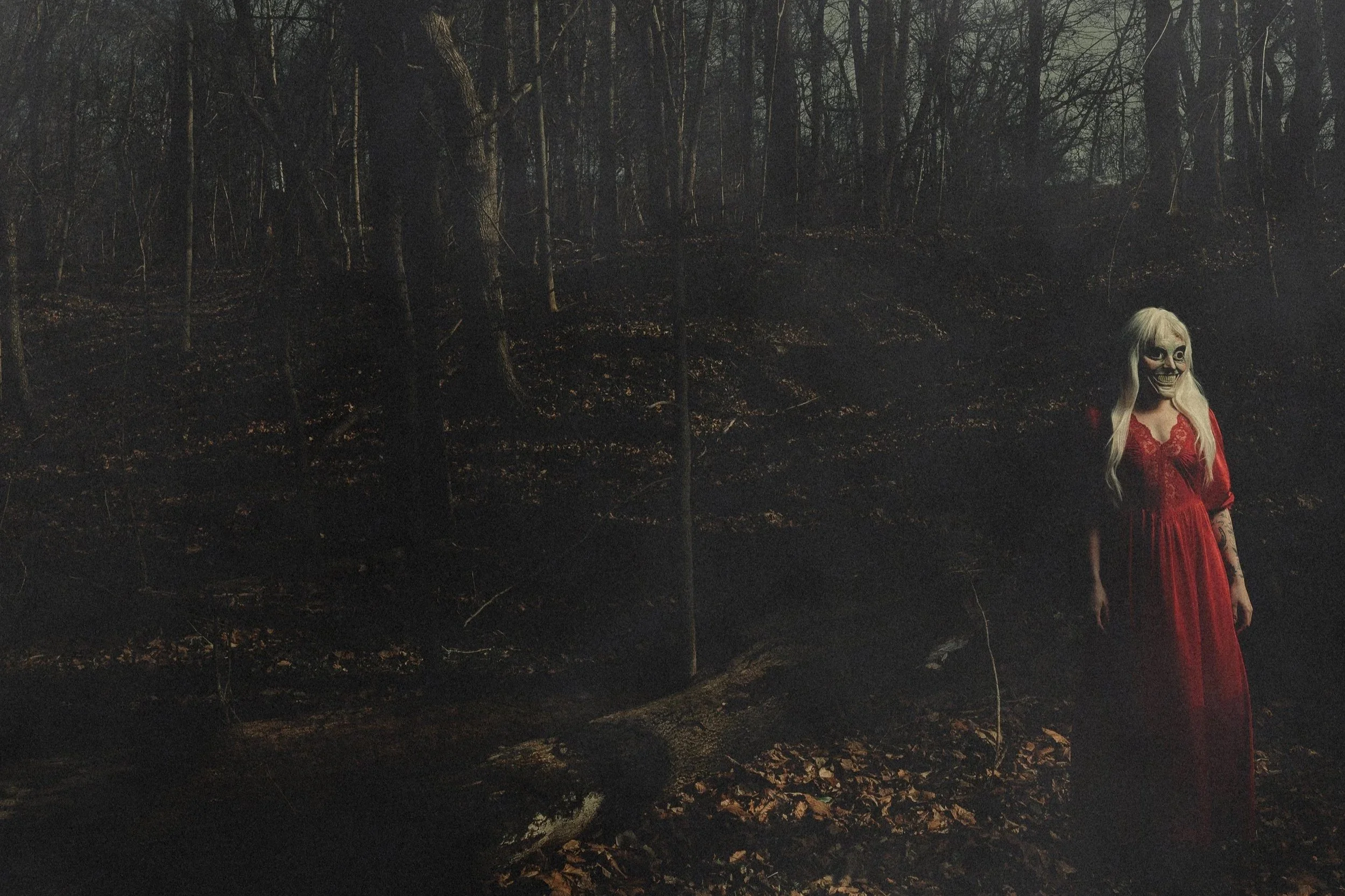 ALBUM REVIEW: 156/SILENCE - FROM A DISTANCE (04/09/26)