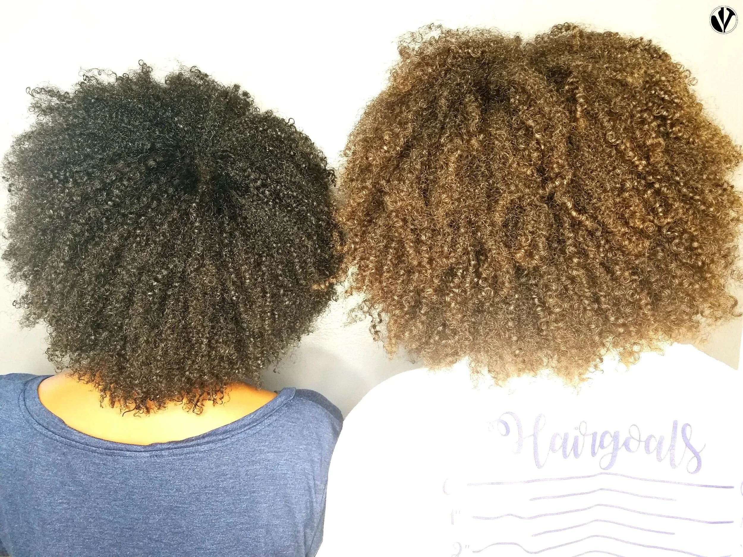 KNOW YOUR CURLS