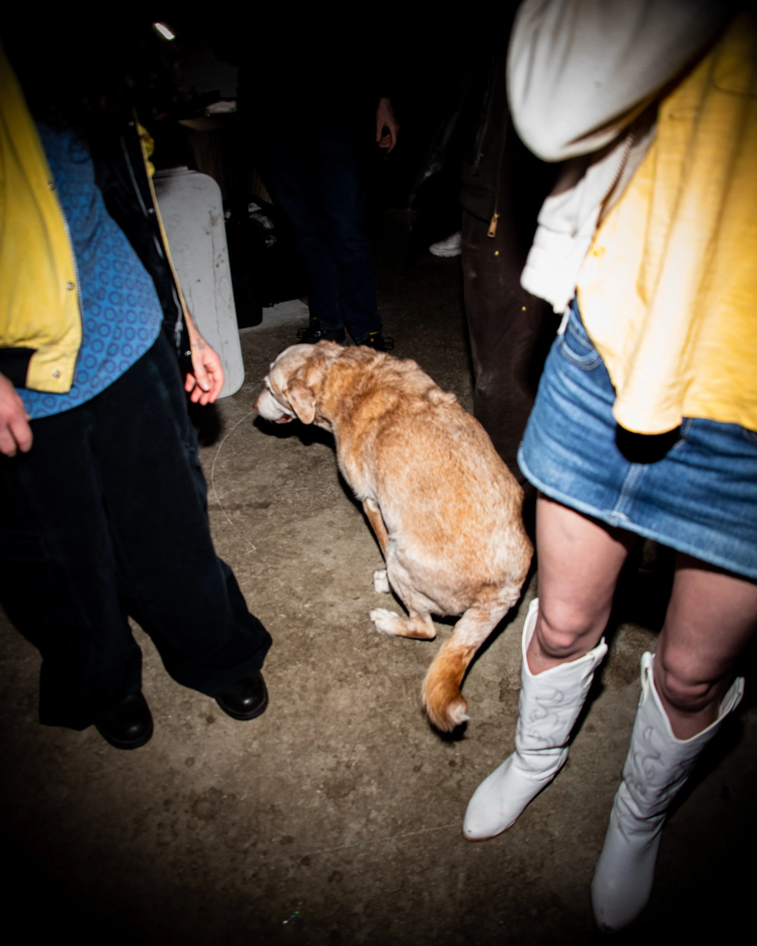 idiotsavant-050926-020.jpg