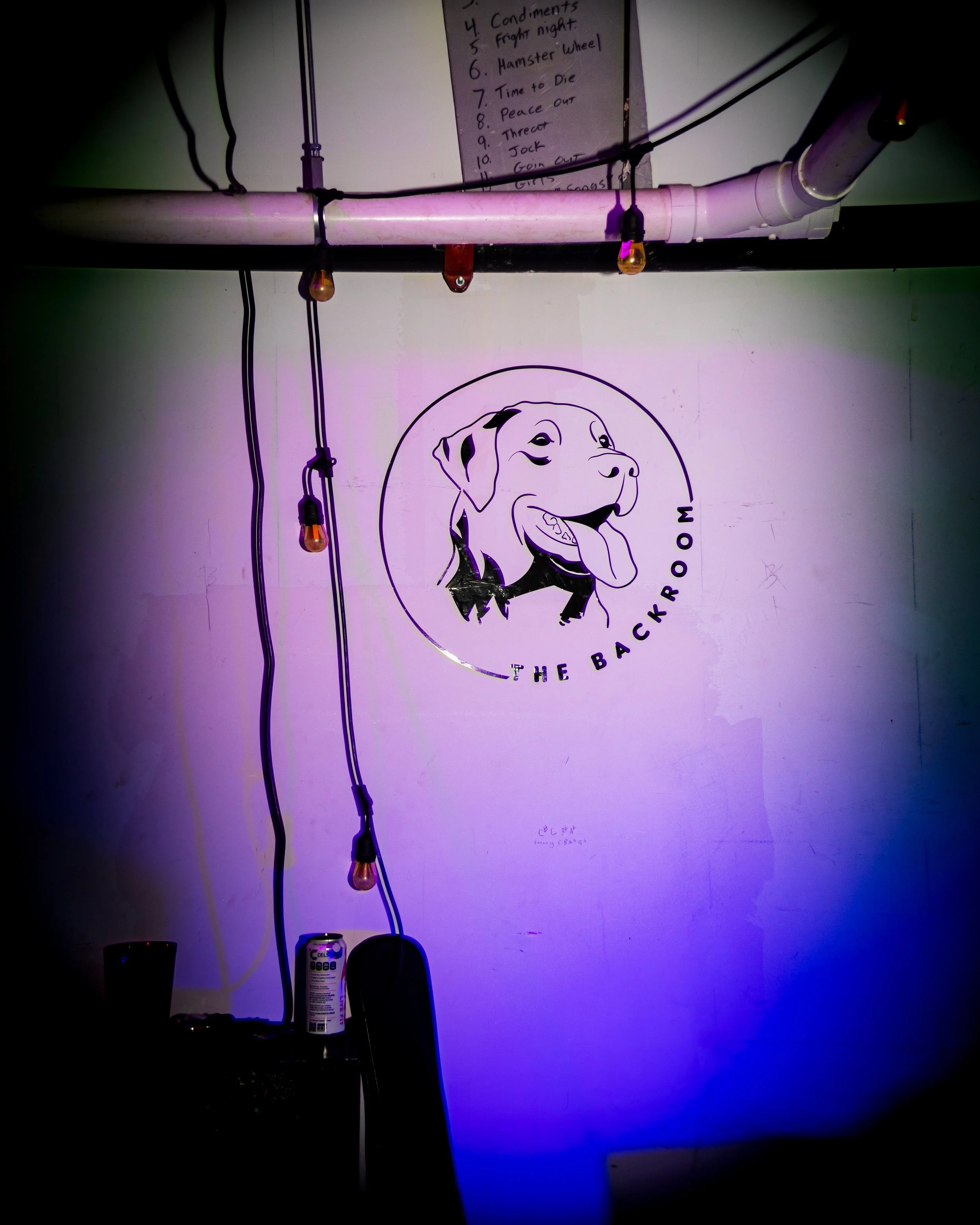 idiotsavant-050926-064.jpg