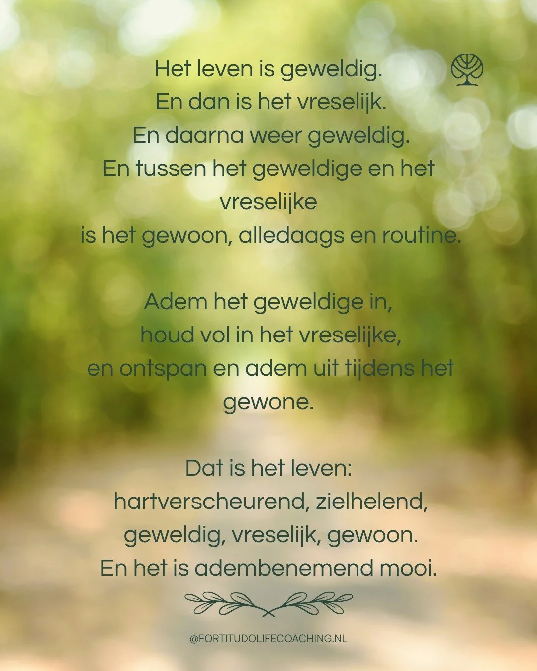 In welke fase zit jij?
.
.
.
.
.
#eenvoudiggeluk #sterkerworden #levenzoalsjewilt #zelfvertrouwenbouwen #alleskomtgoed #durftegroeien #ikbenvoldoende #inspiratie #quotevandedag #wijsheid #dankbaarheid #zelfliefde #persoonlijkegroei #mindset #lifecoac