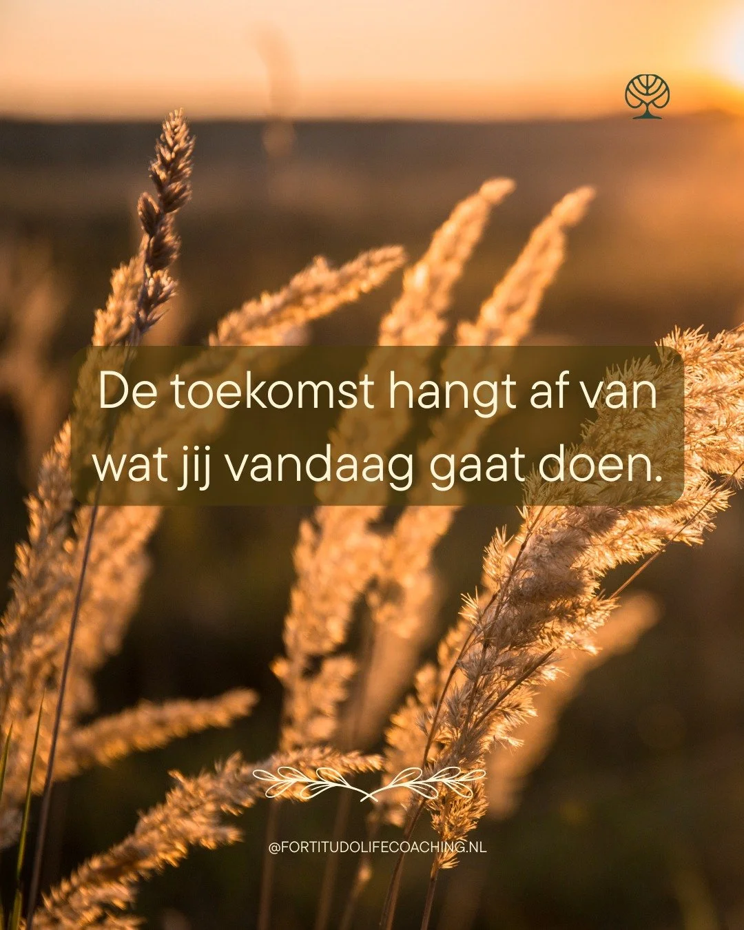 Wat zijn jouw plannen?
.
.
.
.
.
#eenvoudiggeluk #sterkerworden #levenzoalsjewilt #zelfvertrouwenbouwen #alleskomtgoed #durftegroeien #ikbenvoldoende #inspiratie #quotevandedag #wijsheid #dankbaarheid #zelfliefde #persoonlijkegroei #mindset #lifecoac