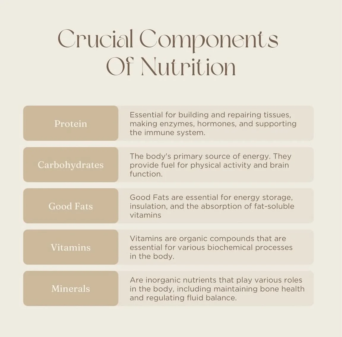 Balancing the building blocks of nutrition for a healthier you🍎💪🏼
From proteins to healthy fats, every bite counts😊