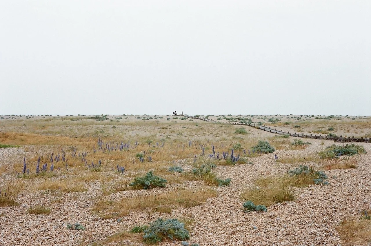 Dungeness walkway and beach - Maddie Persent.jpeg
