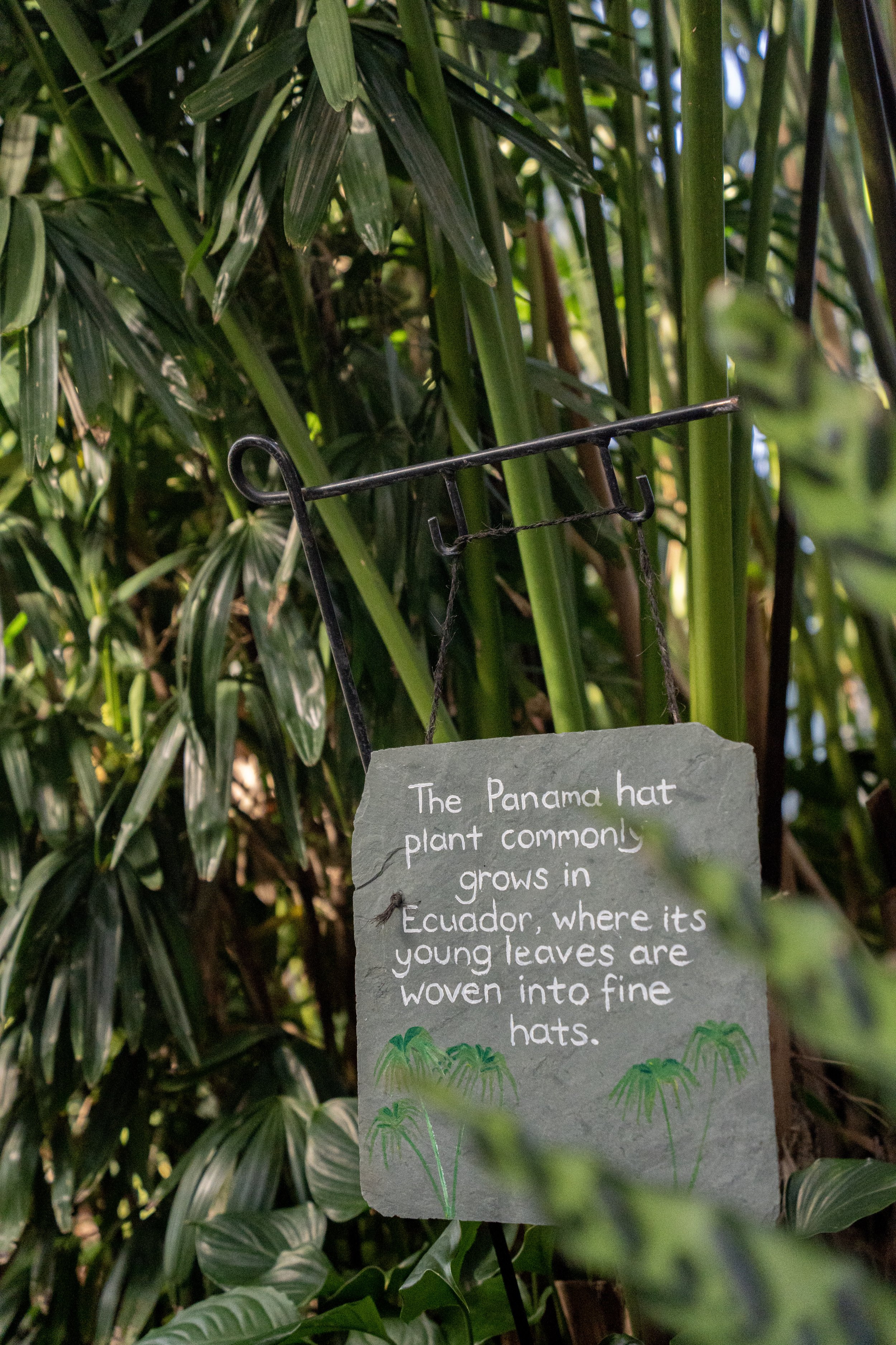 DSC08787 (1) (2).jpg