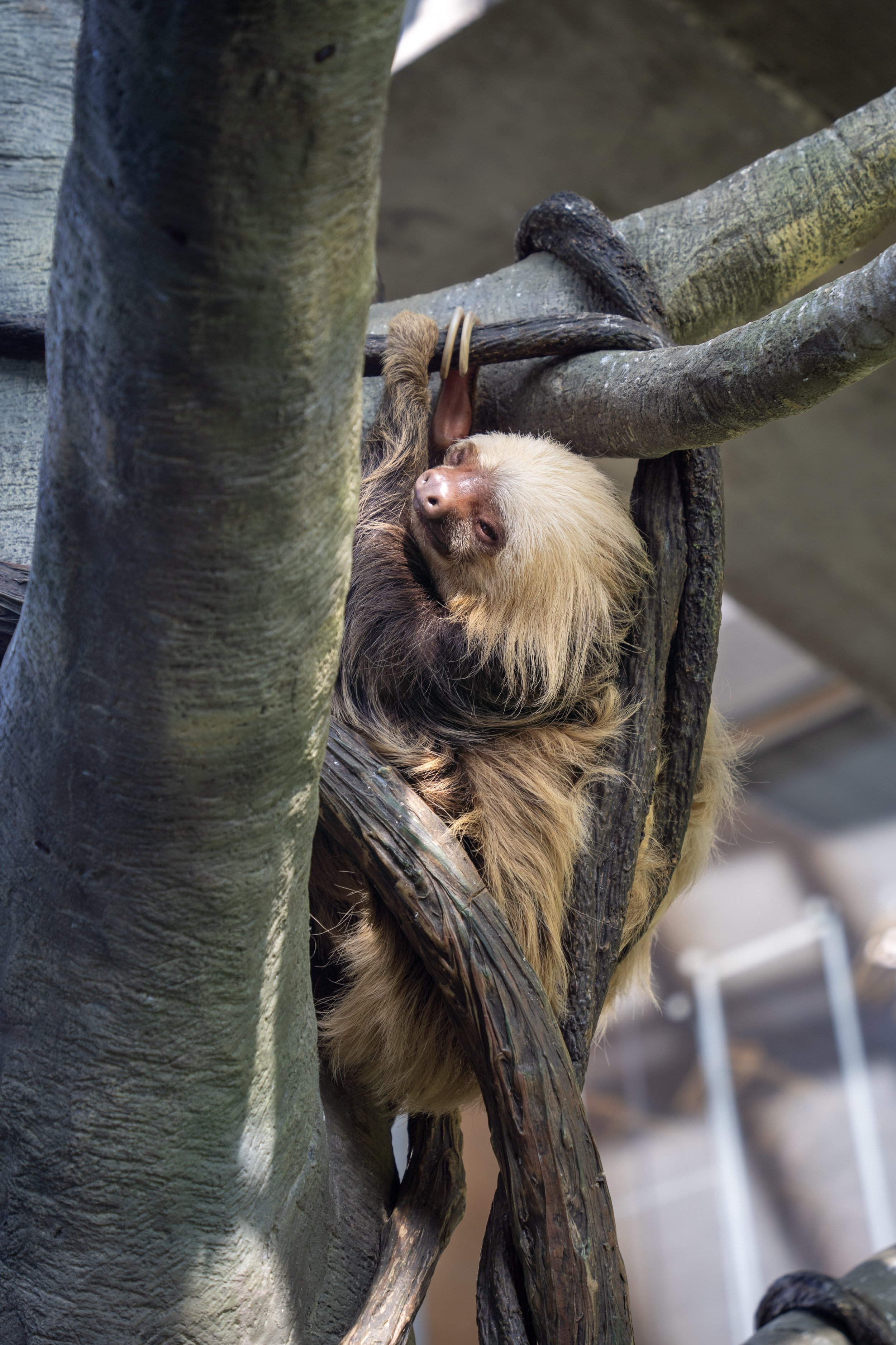 DSC08644 (1) (1).jpg