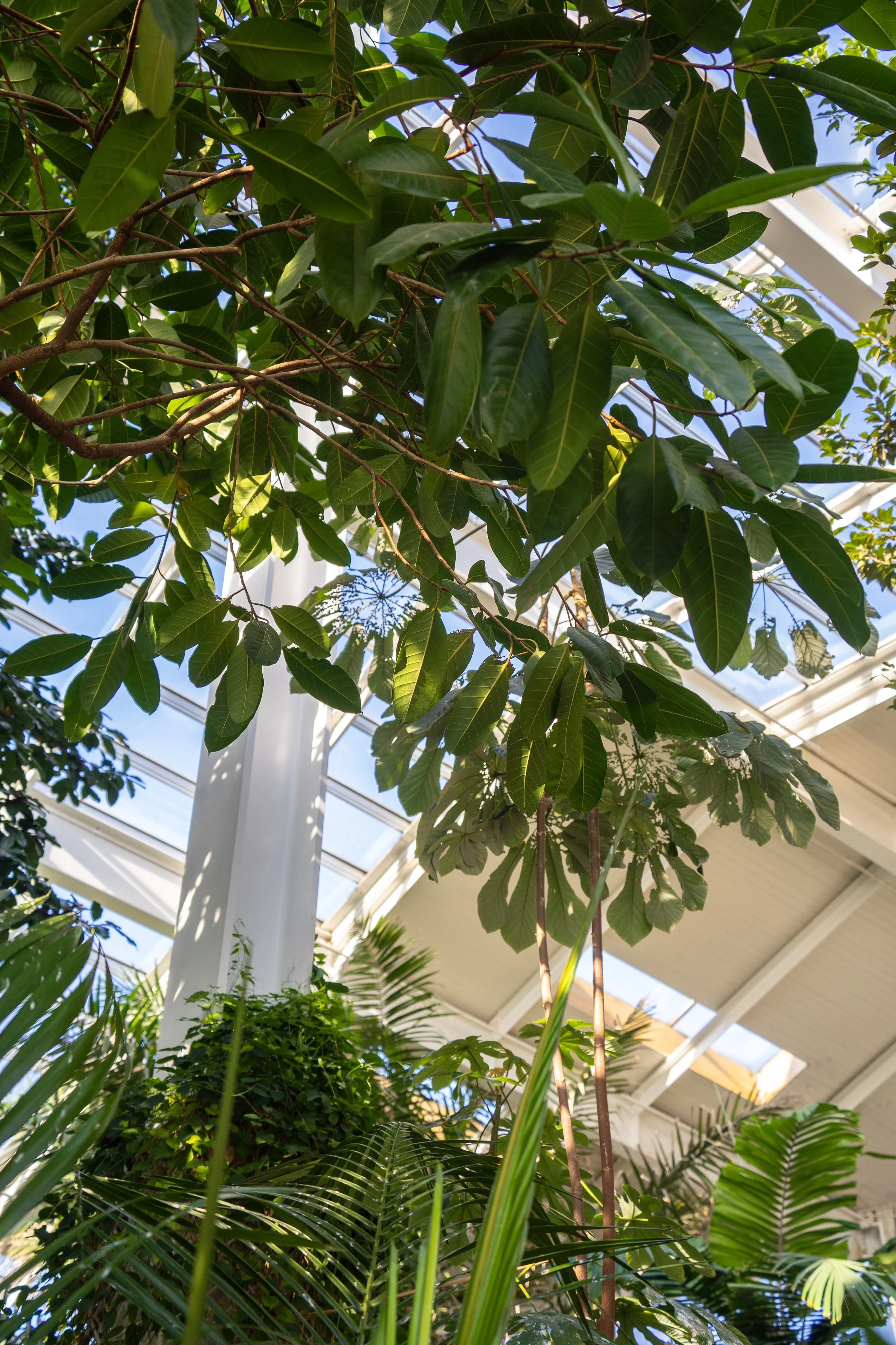 DSC08622 (2) (1).jpg