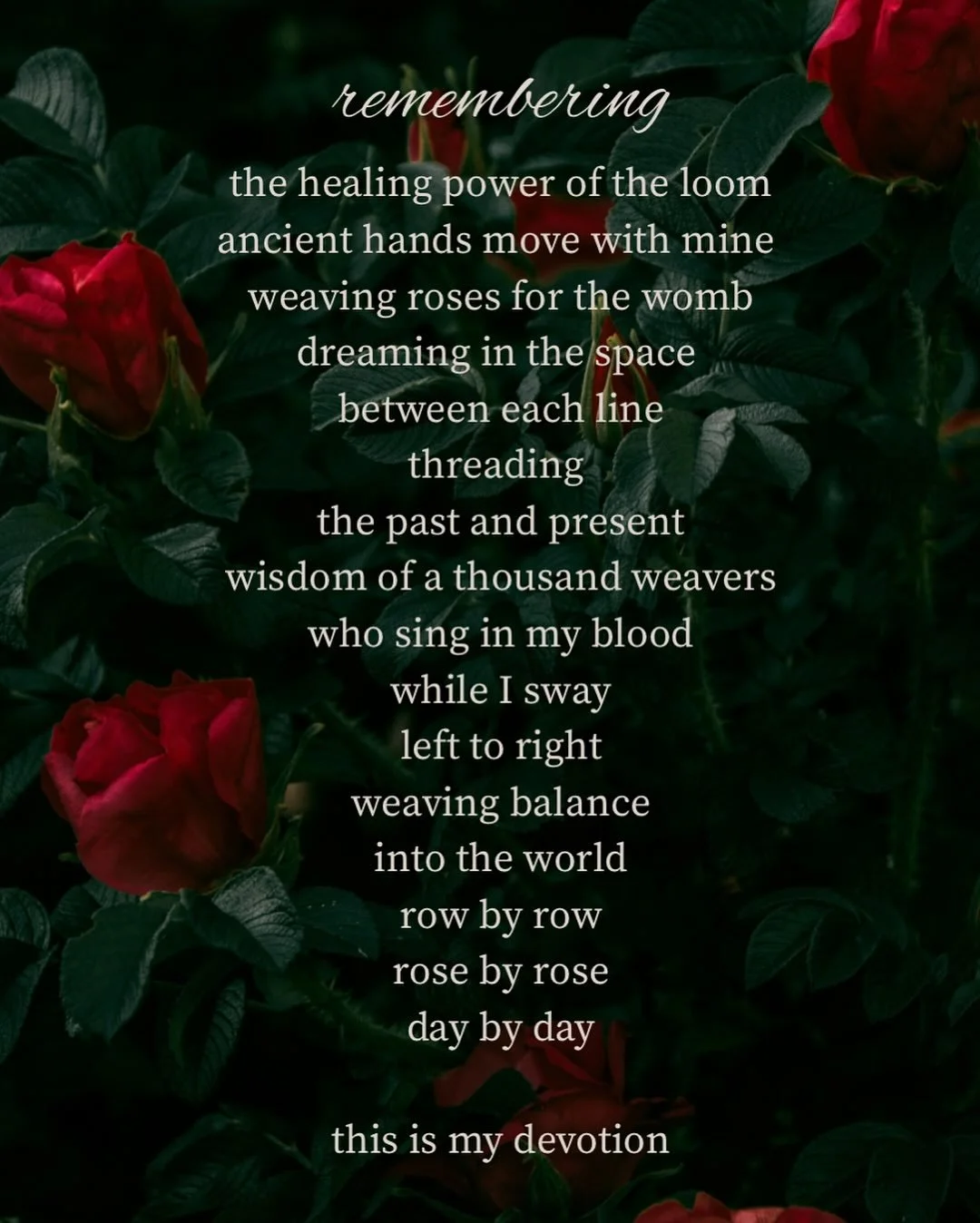 As I prepare for the unfolding of Mihkokwaniy Iskwew, I am touching the beloved places of my craft and am reminded of how deeply at home I feel within it all.

🌹

Where do you feel most at home?