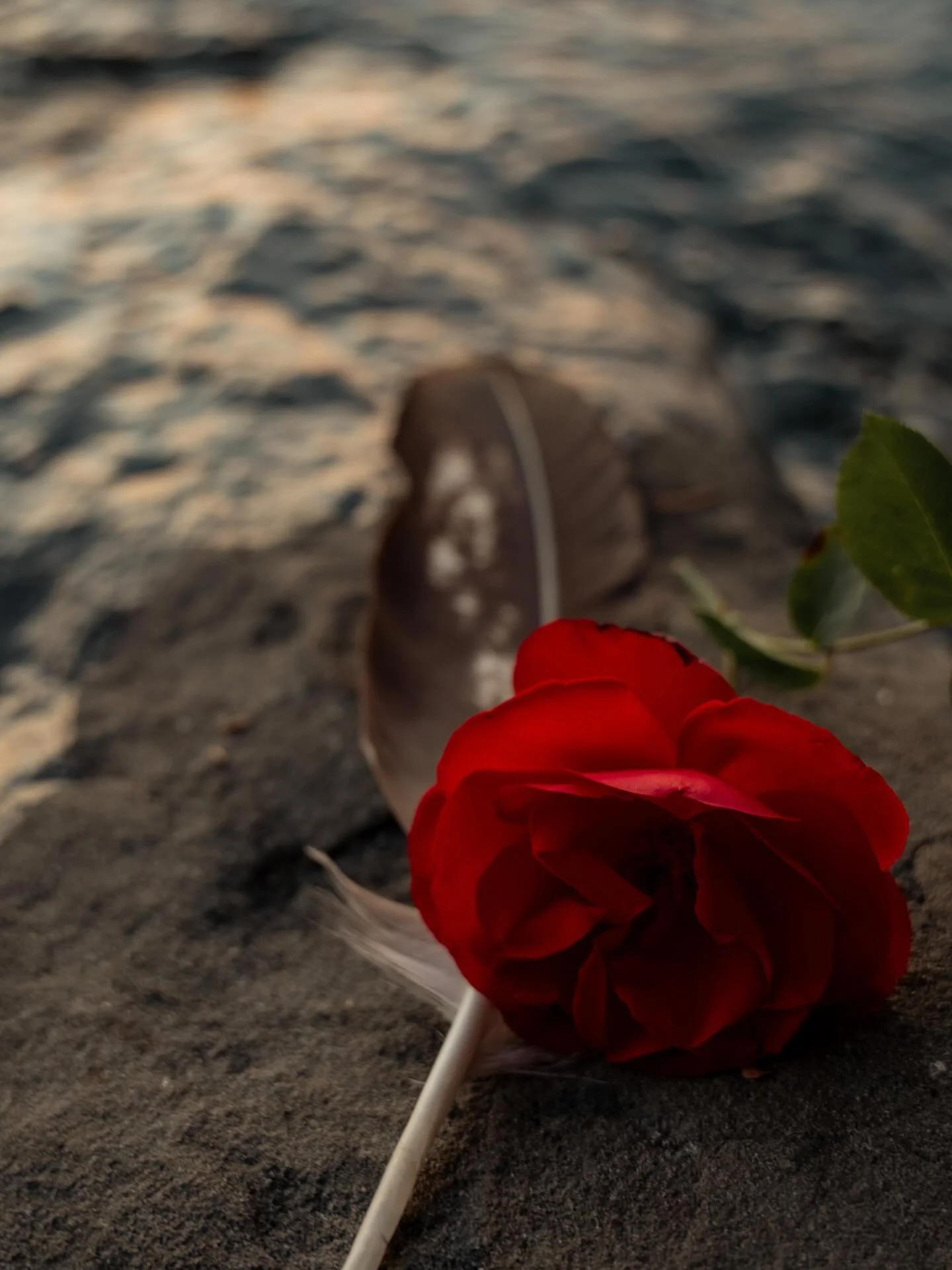 Dear ones,

I am returning to this place with renewed intention: to share from the altar of my heart.

At this time, I am grieving significant relationships in my life. My grandmother, my former partner, and a beloved friend.

This grief has called m