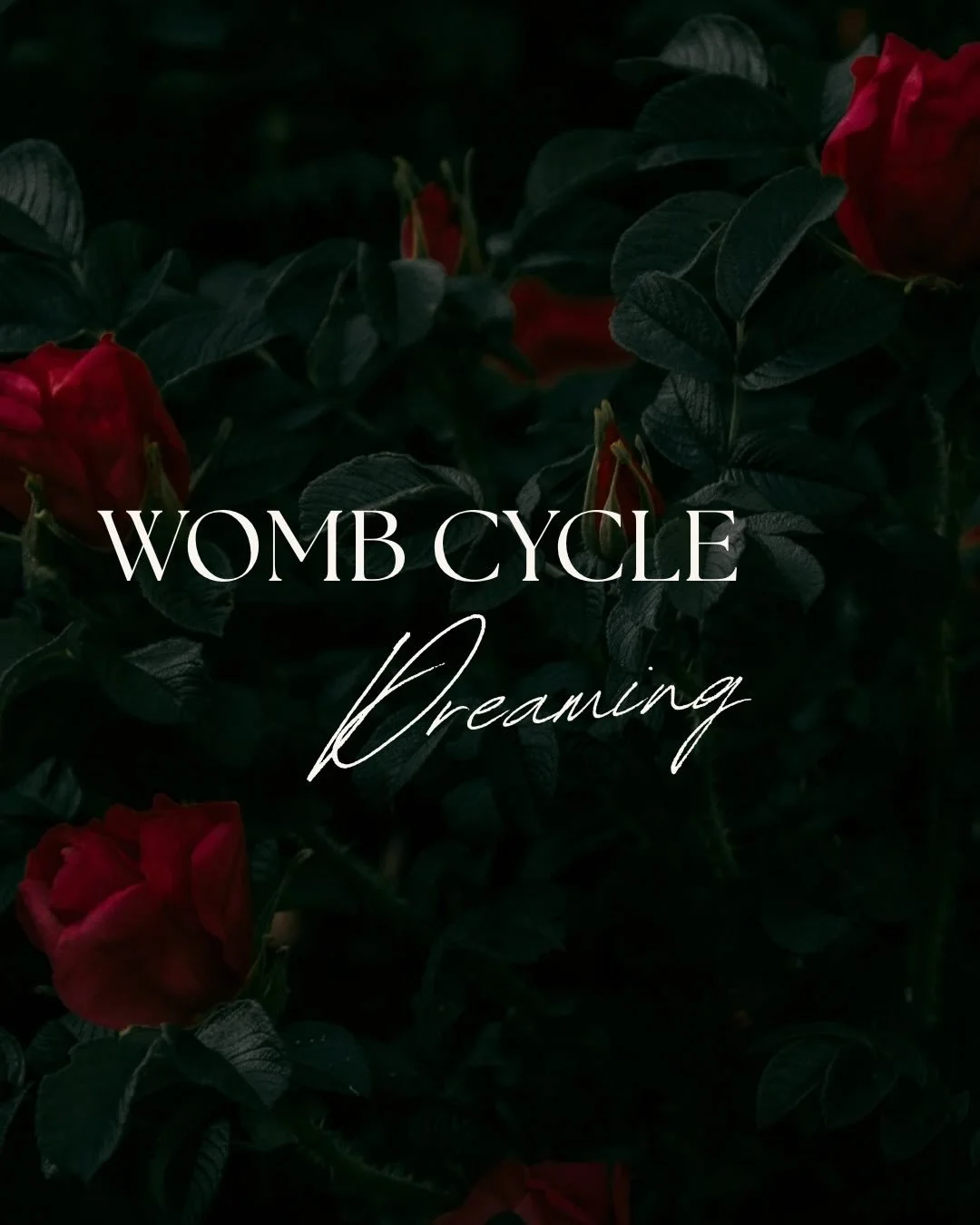 We can dream with our cycle.

One of the most common things I hear about in my field is the disconnect many feel with their dreams. 

There is a desire to connect with our dreams, to understand them, to know what to do with them.

Rather than stand b