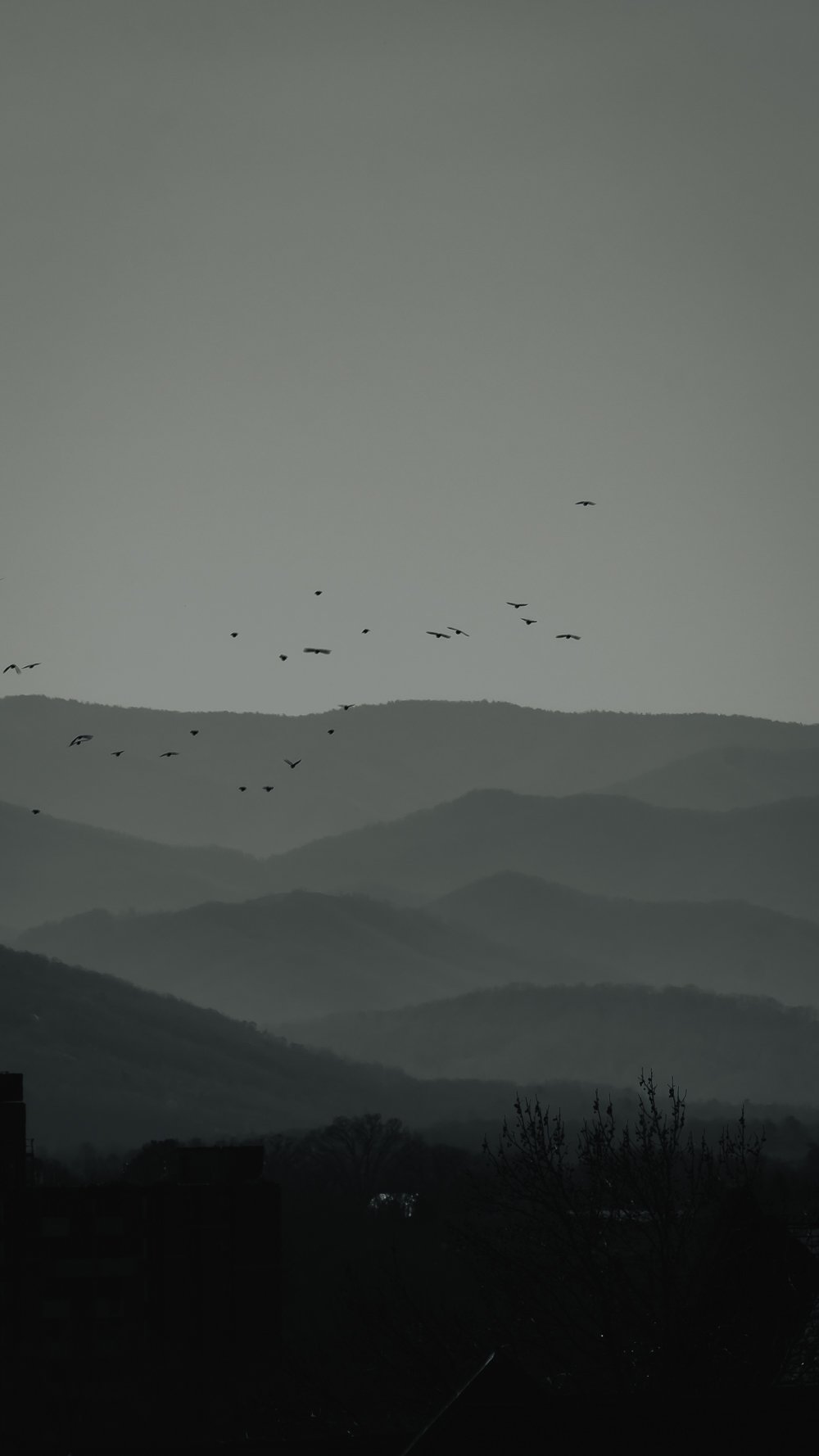DSC07863.jpg