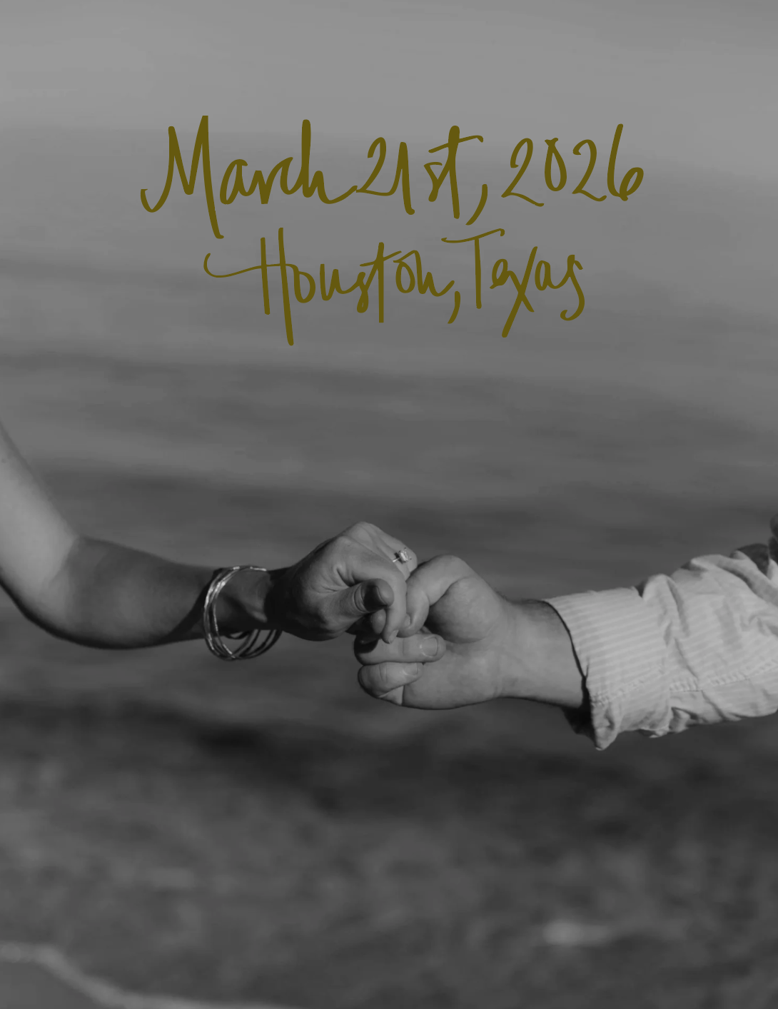 Screenshot 2025-11-24 at 10.23.07 PM.png