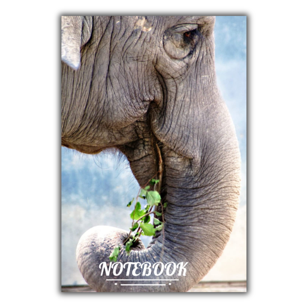 Elephant 1.png