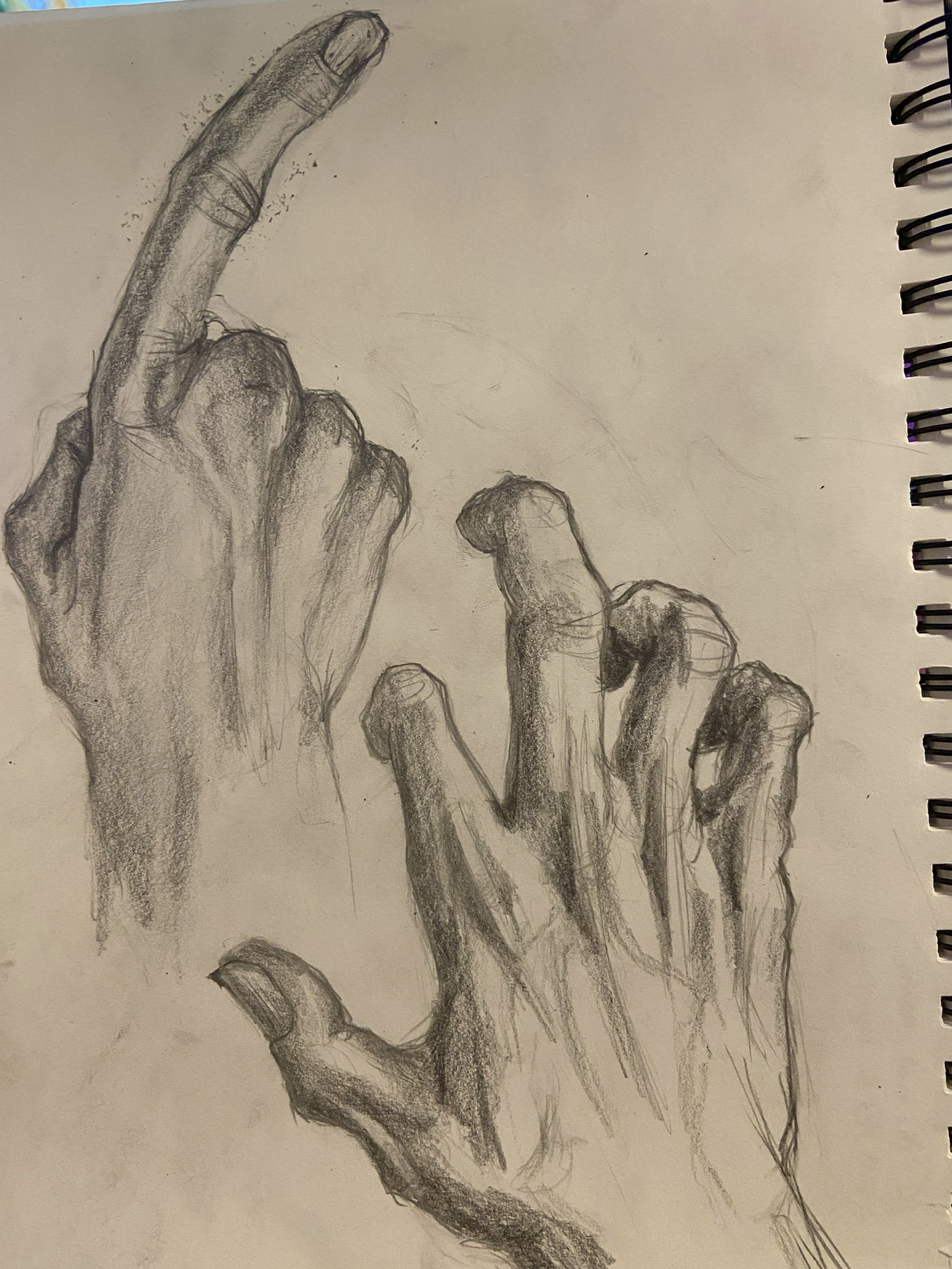 Figure Study - Hands