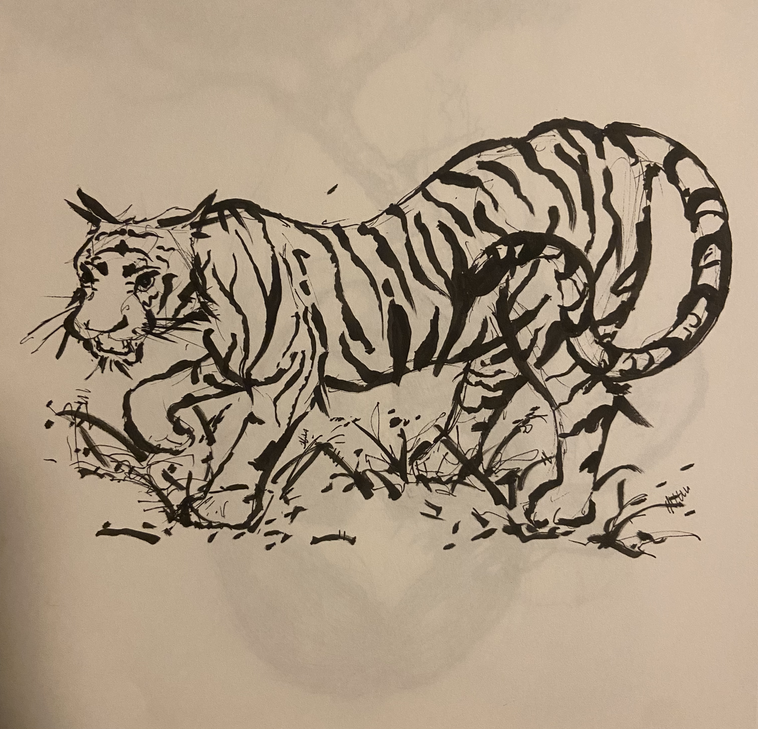 Animal Studies - Stylized Tiger