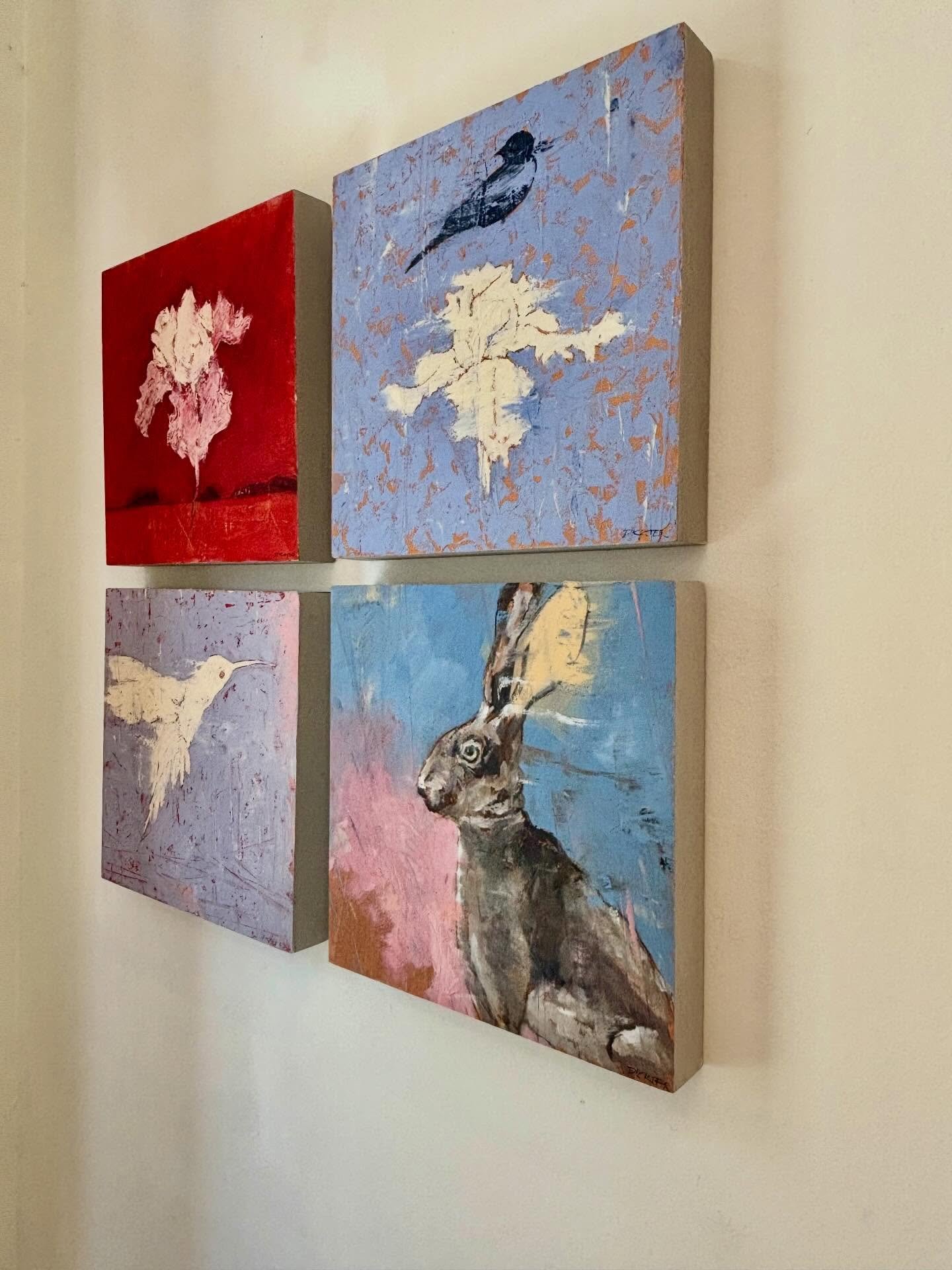 4 stunning 12x12 oils on panel by Michael Dickter. On show in our Magazine location. Available separately or mix and match them. Message us for details #michaeldickter #rabbit