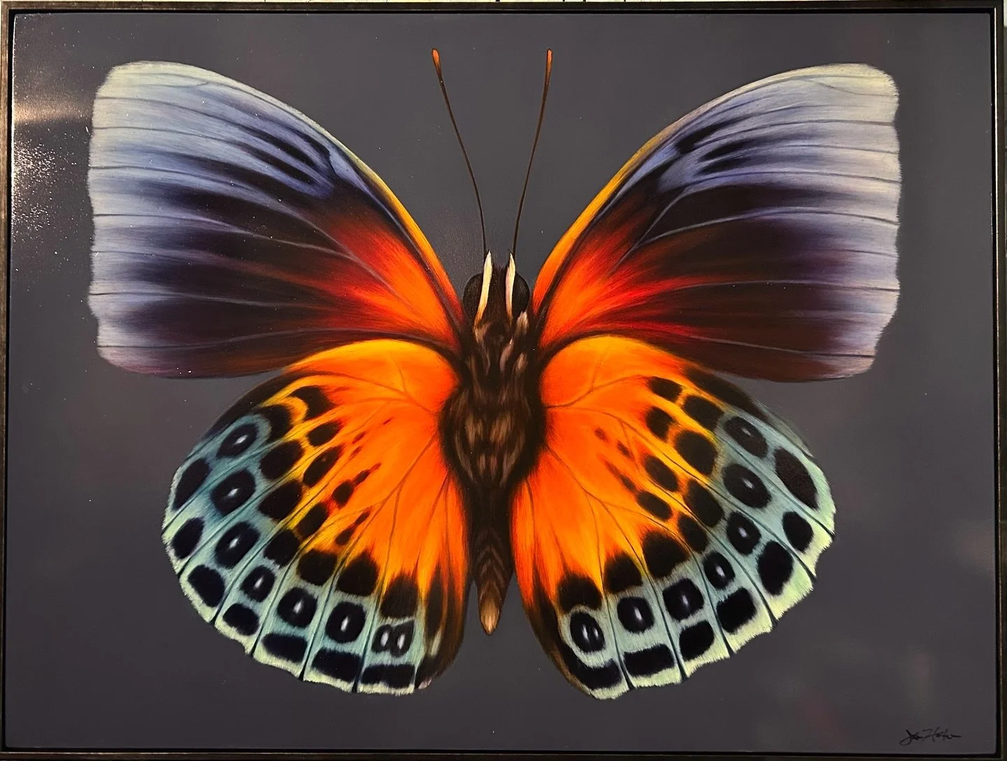 Butterfly on Anthracite by Jason Horton 🦋 This striking new 30x40&rdquo; oil balances softness and structure, carried by the distinctive sense of color the artist is known for.

Framed and ready to be collected. We don&rsquo;t expect this one to be 