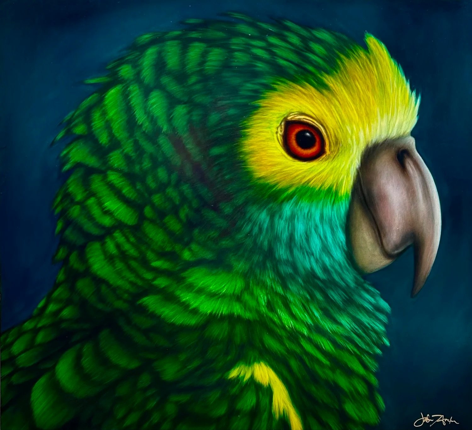 A celebration of color and the natural world 🦜✨ 

Mimoso by Jason Horton
40 &times; 44 inches
Oil on panel