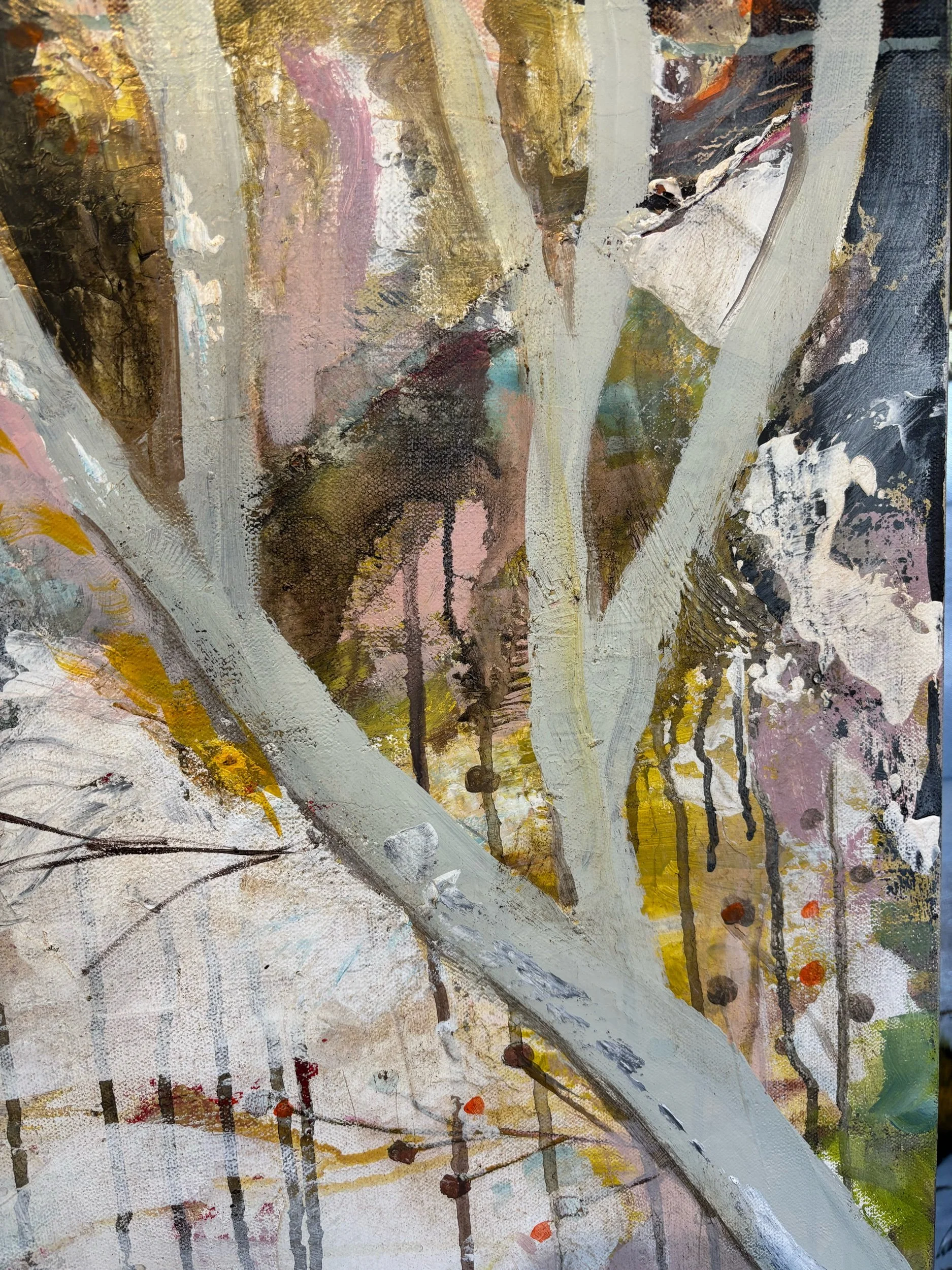 2036B38F-1759-440C-934F-EE55B064AEA8.jpeg