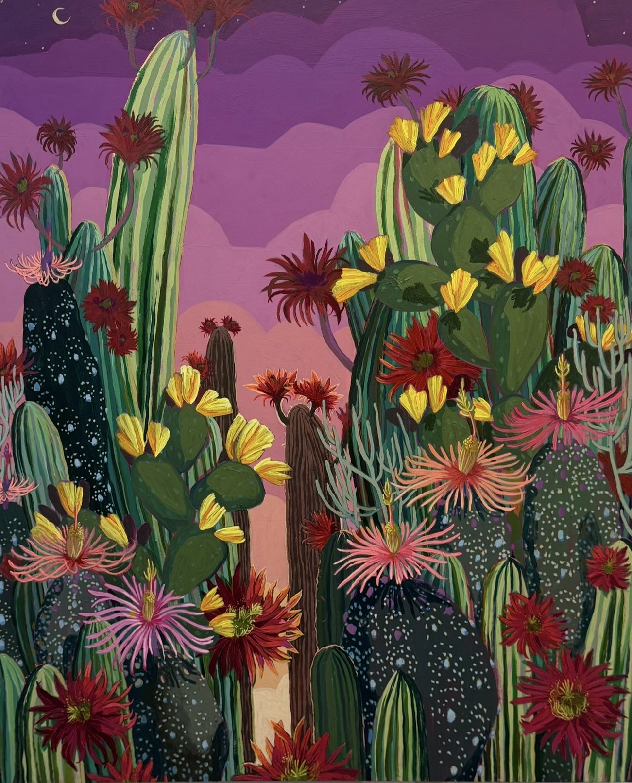 Cactus Sunset