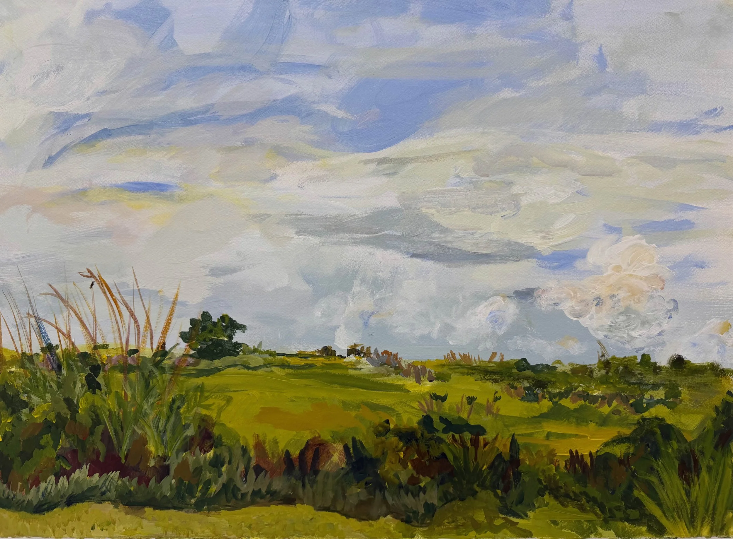 Marsh medow 30x22.jpeg