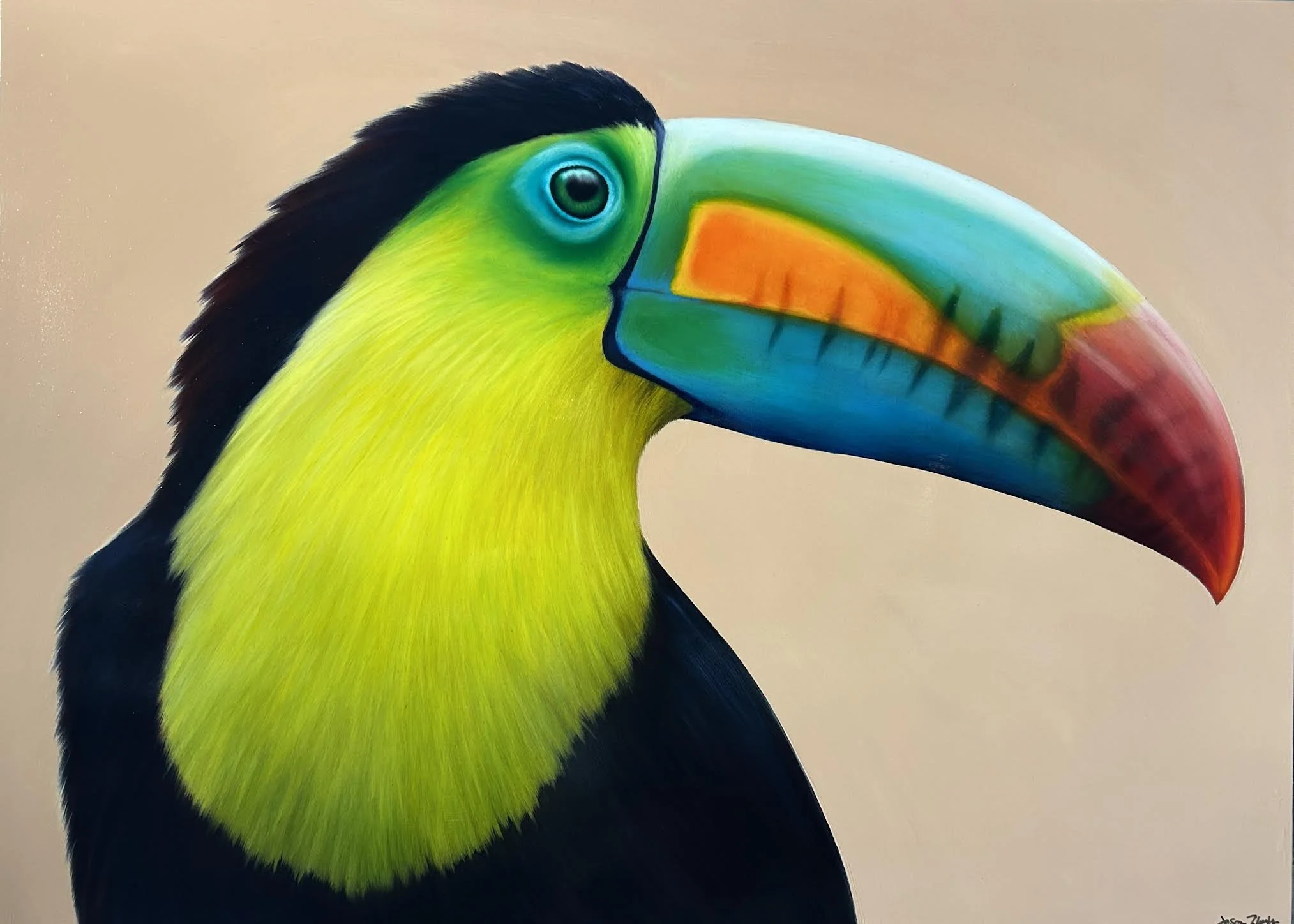 Toucan