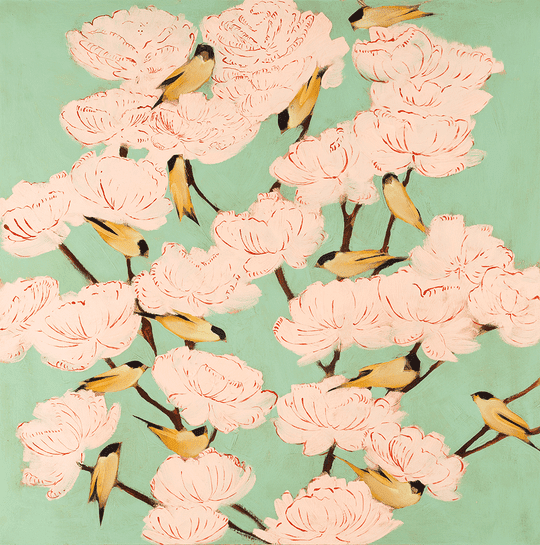 Blossom & Finches