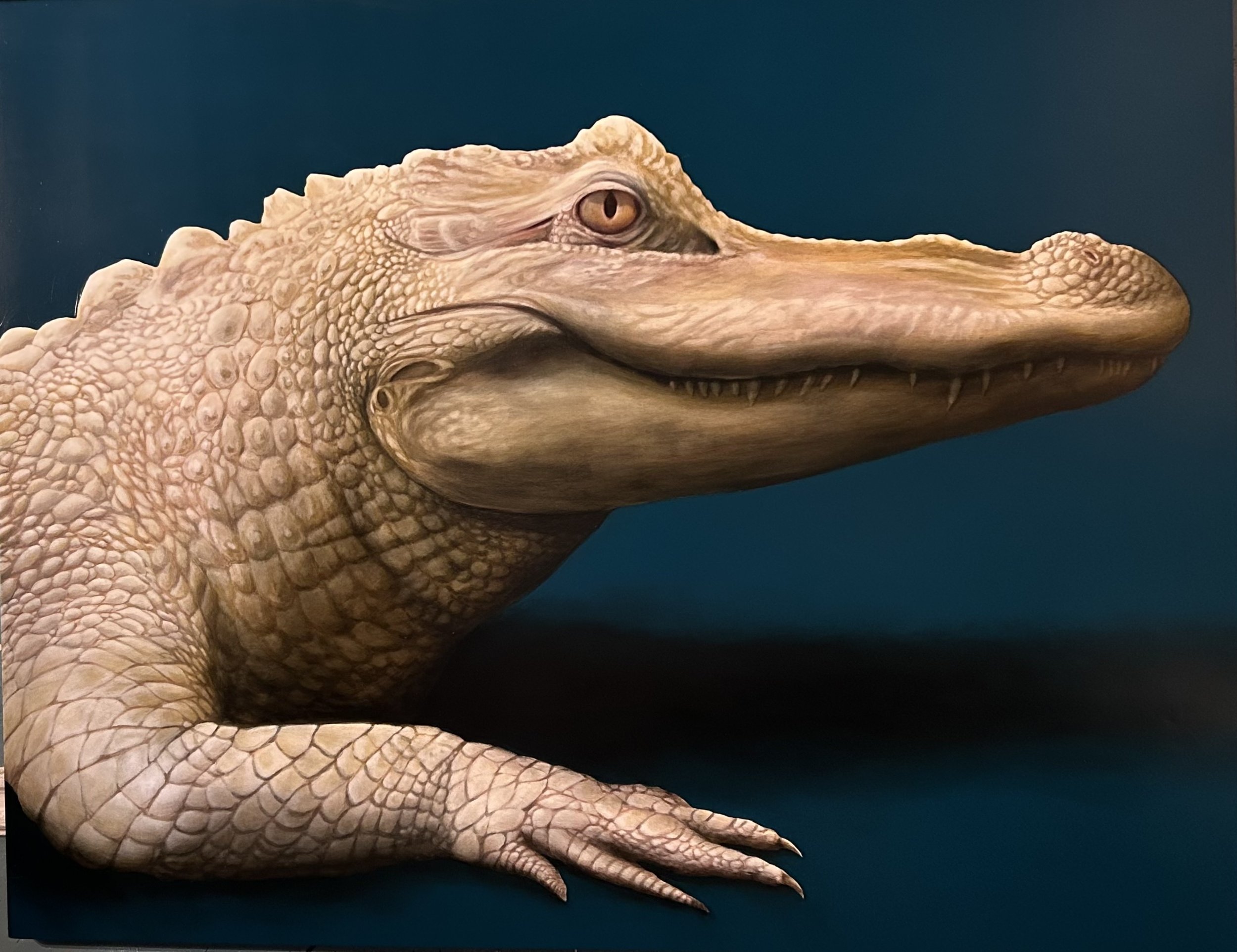 Jason Gator.jpg