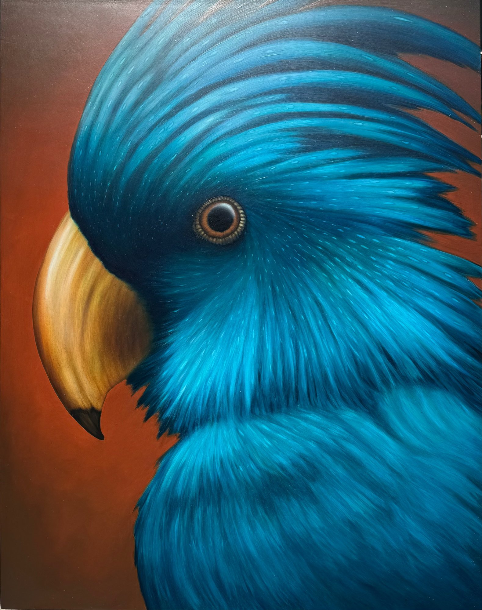 Jason Horton_Aubusson.jpeg