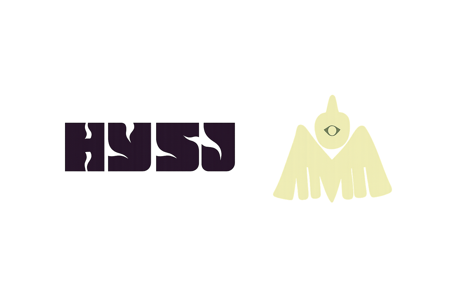 HYSJ x Hvíla Community yoga