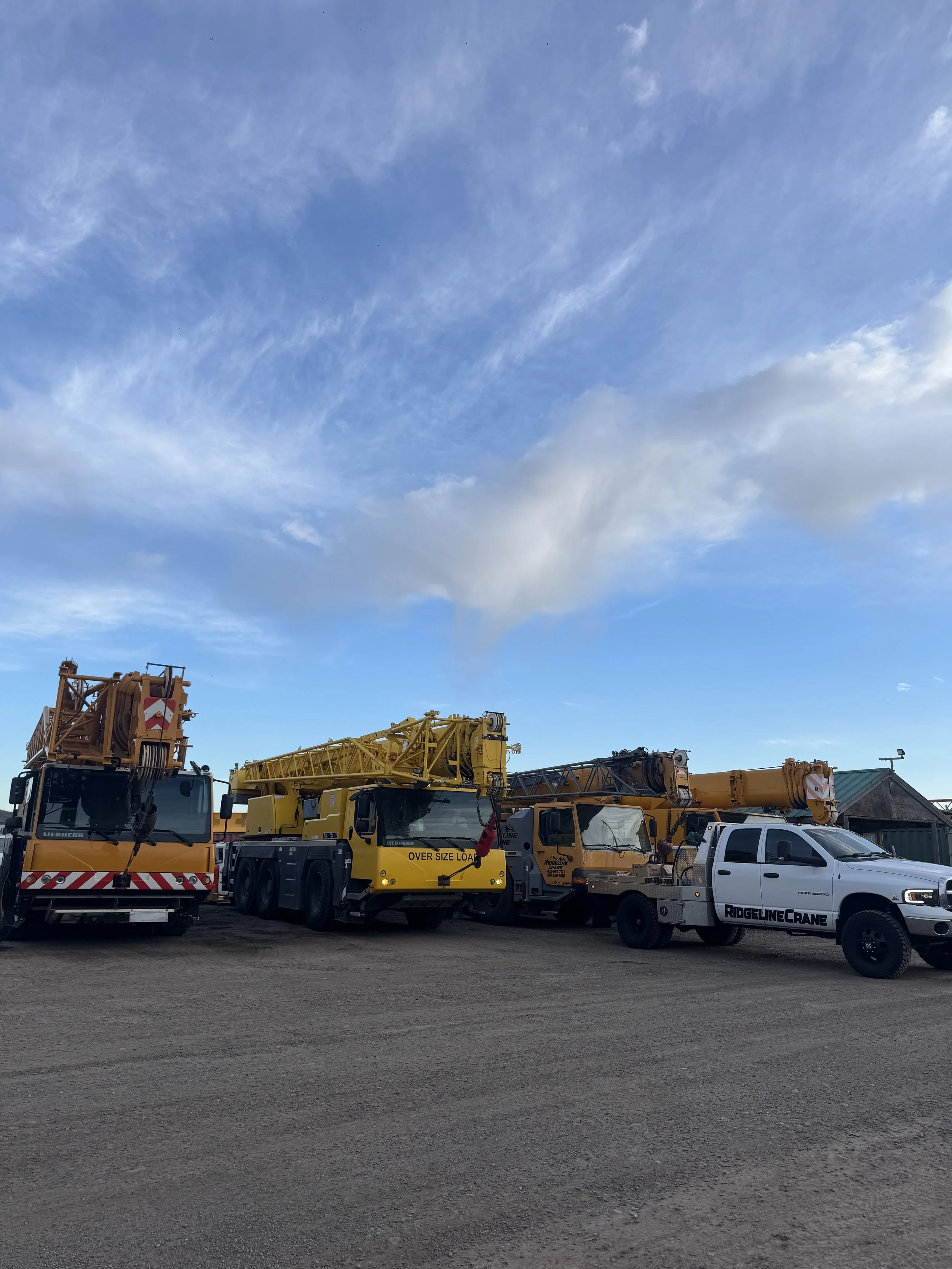 crane fleet