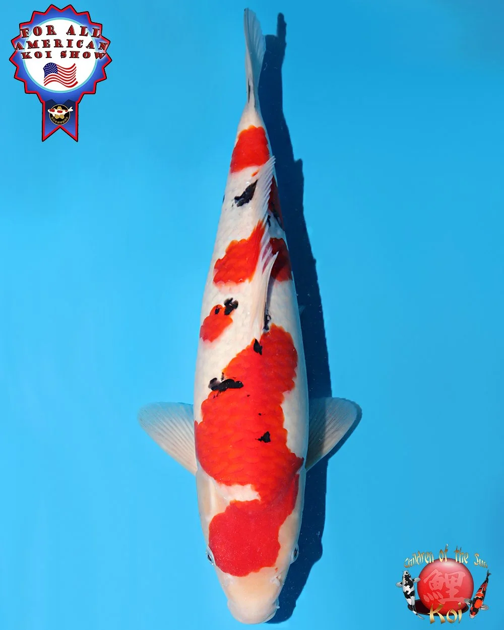 Sakamaki Nisai Sanke