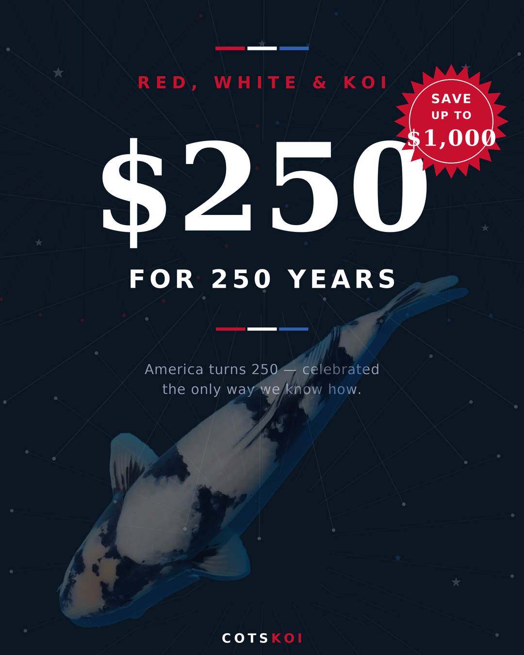 Red, White and Koi - $250 for 250 Years