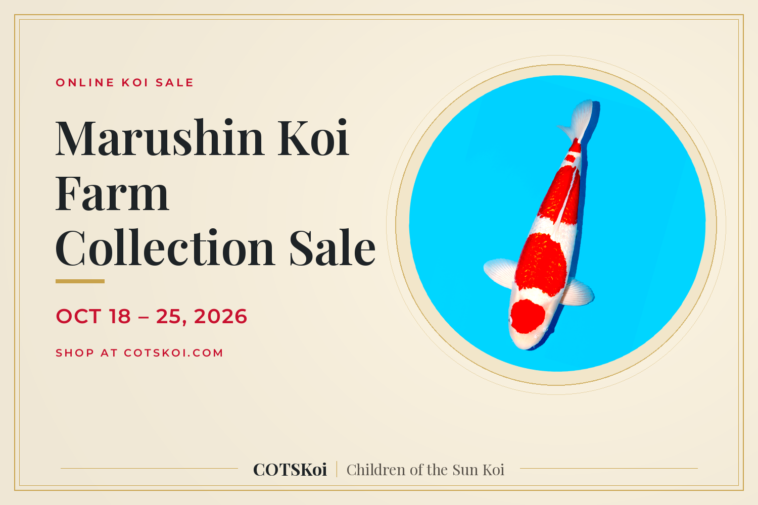 Marushin Koi Farm Collection Sale