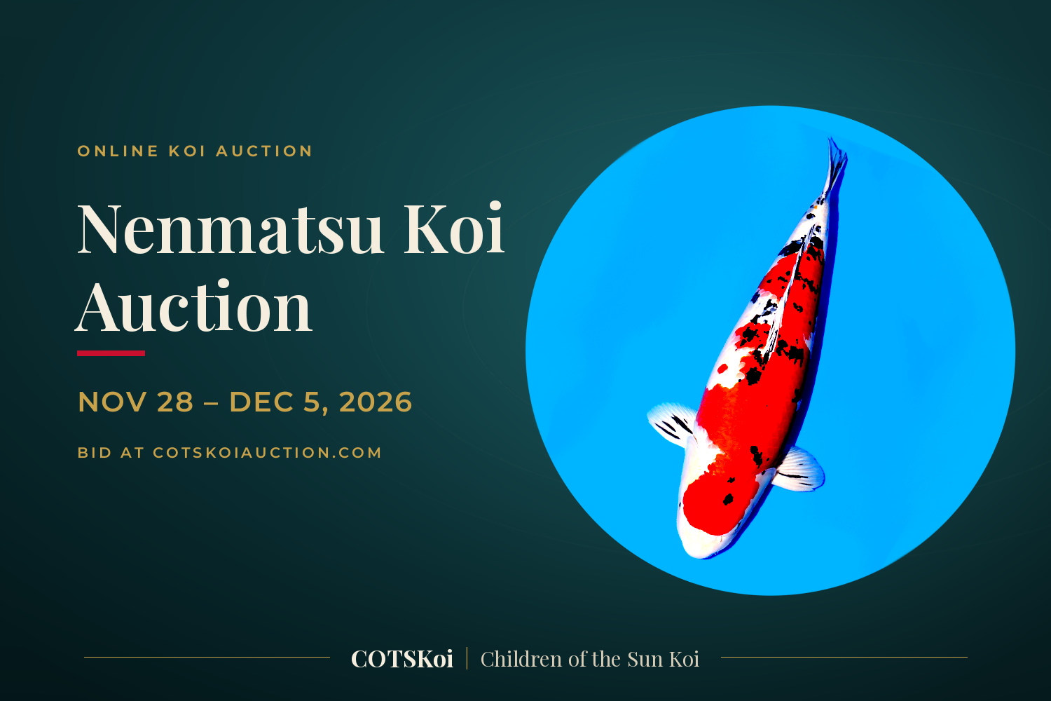 Nenmatsu Koi Auction: YEAR FINALE