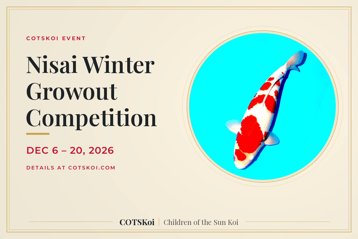 COTSKoi - Winter Nisai Growout Competition 