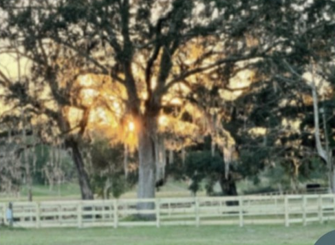 IMG_2793.png