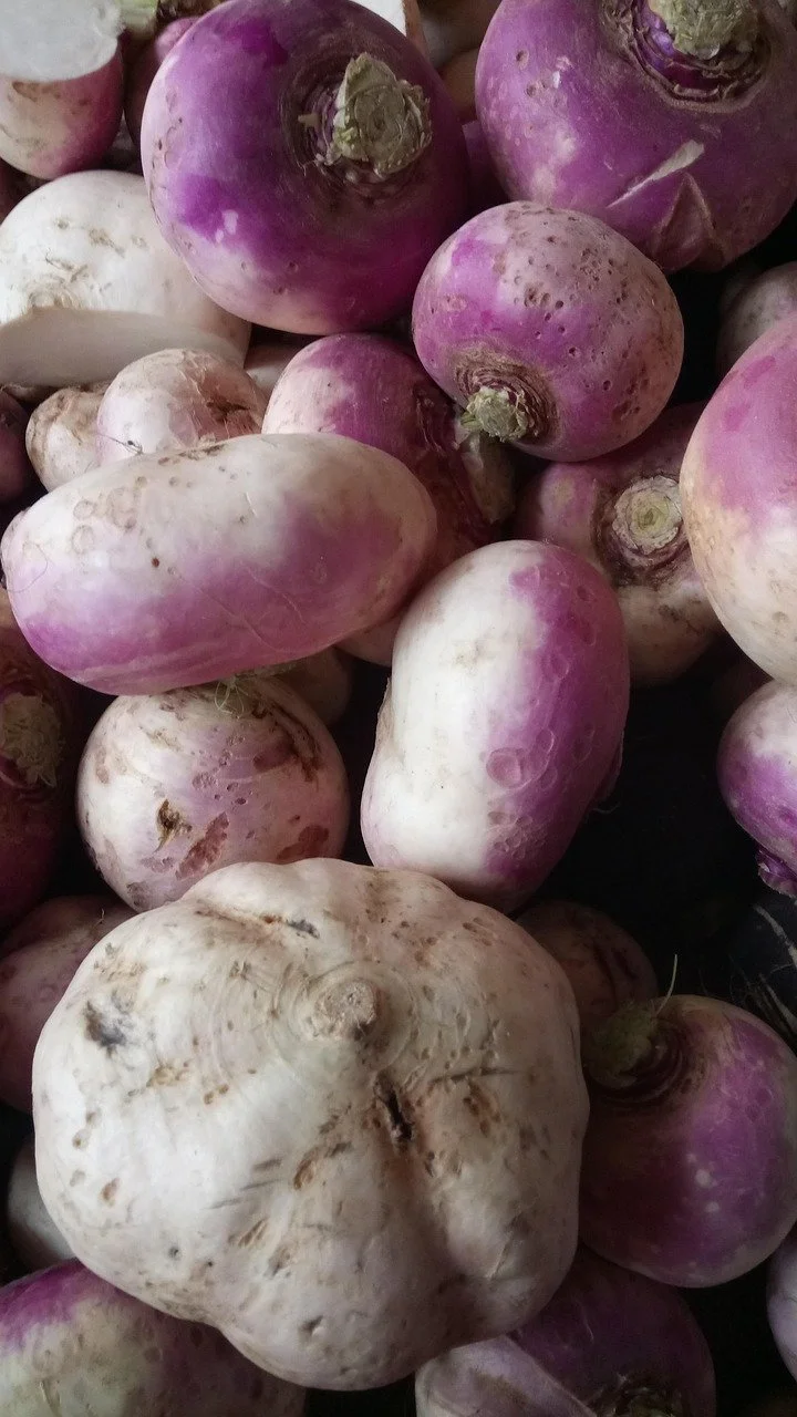 turnip-2358185_1280.jpg