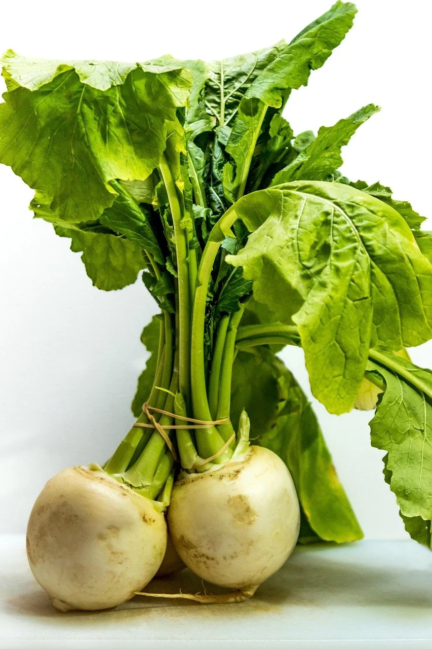 turnip-5231857_1280.jpg