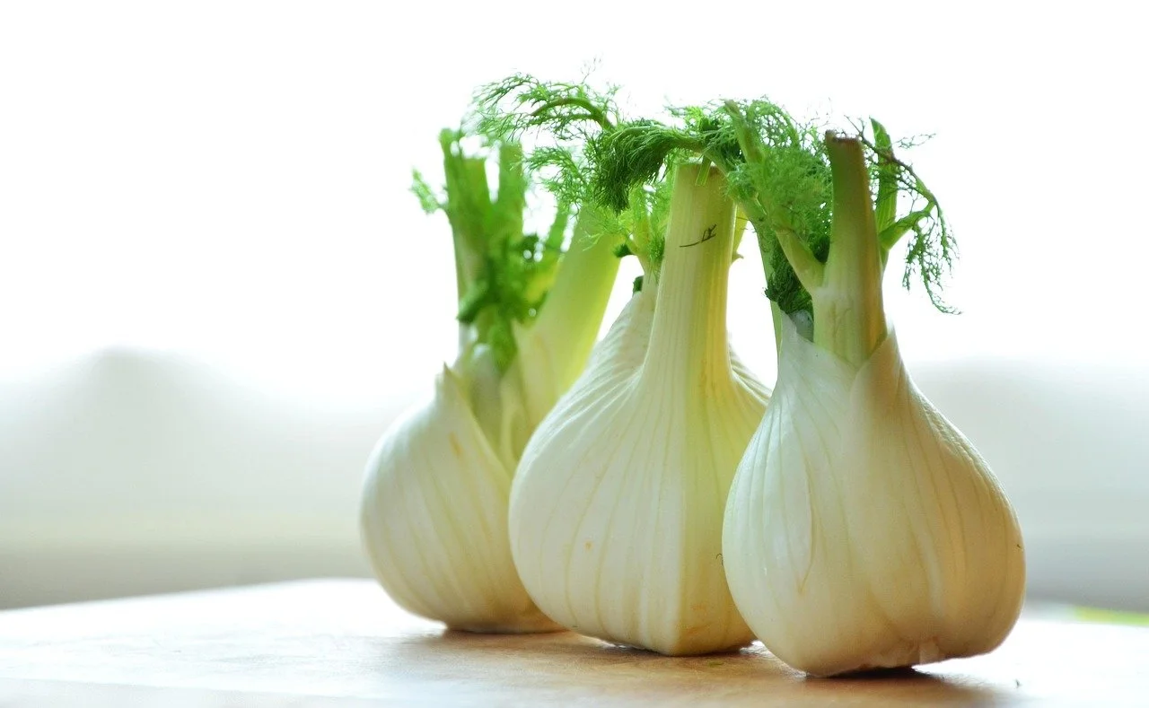 congerdesign-fennel-1311691_1280.jpg