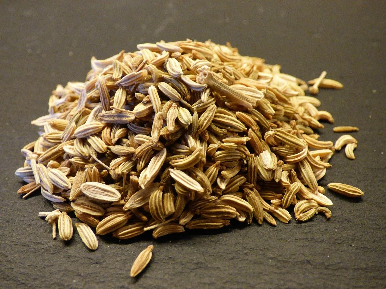 flomo001-fennel-307555_1280.jpg