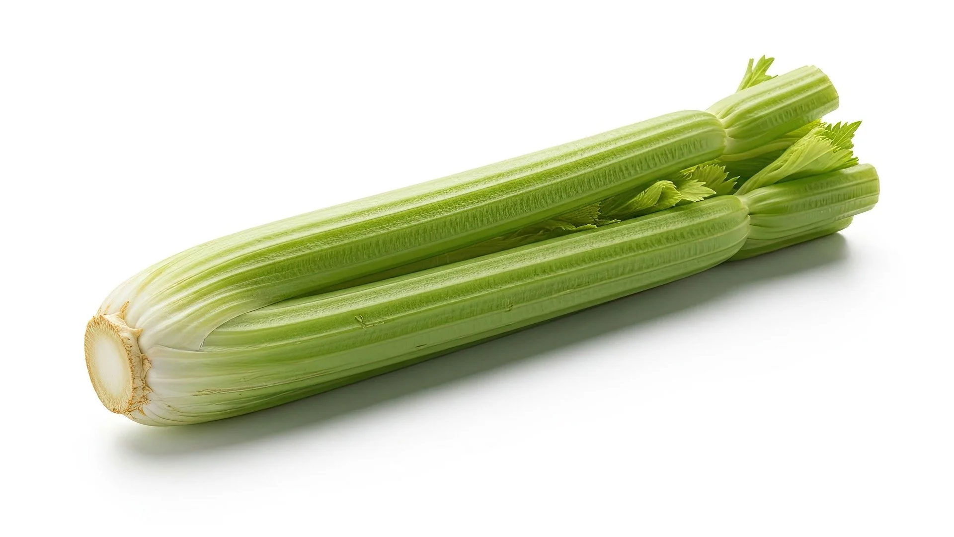 muhammadhammad7788-celery-10154992_1920.jpg