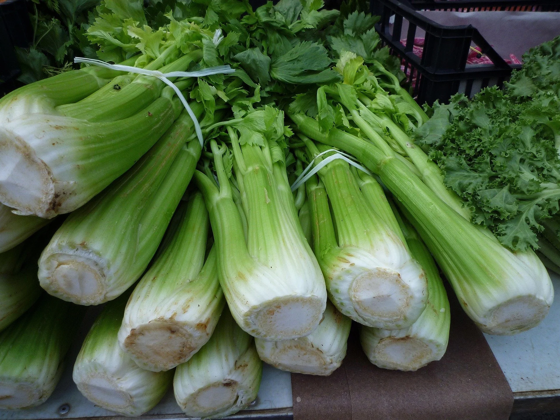 dietmaha-celery-stalk-248156_1920.jpg