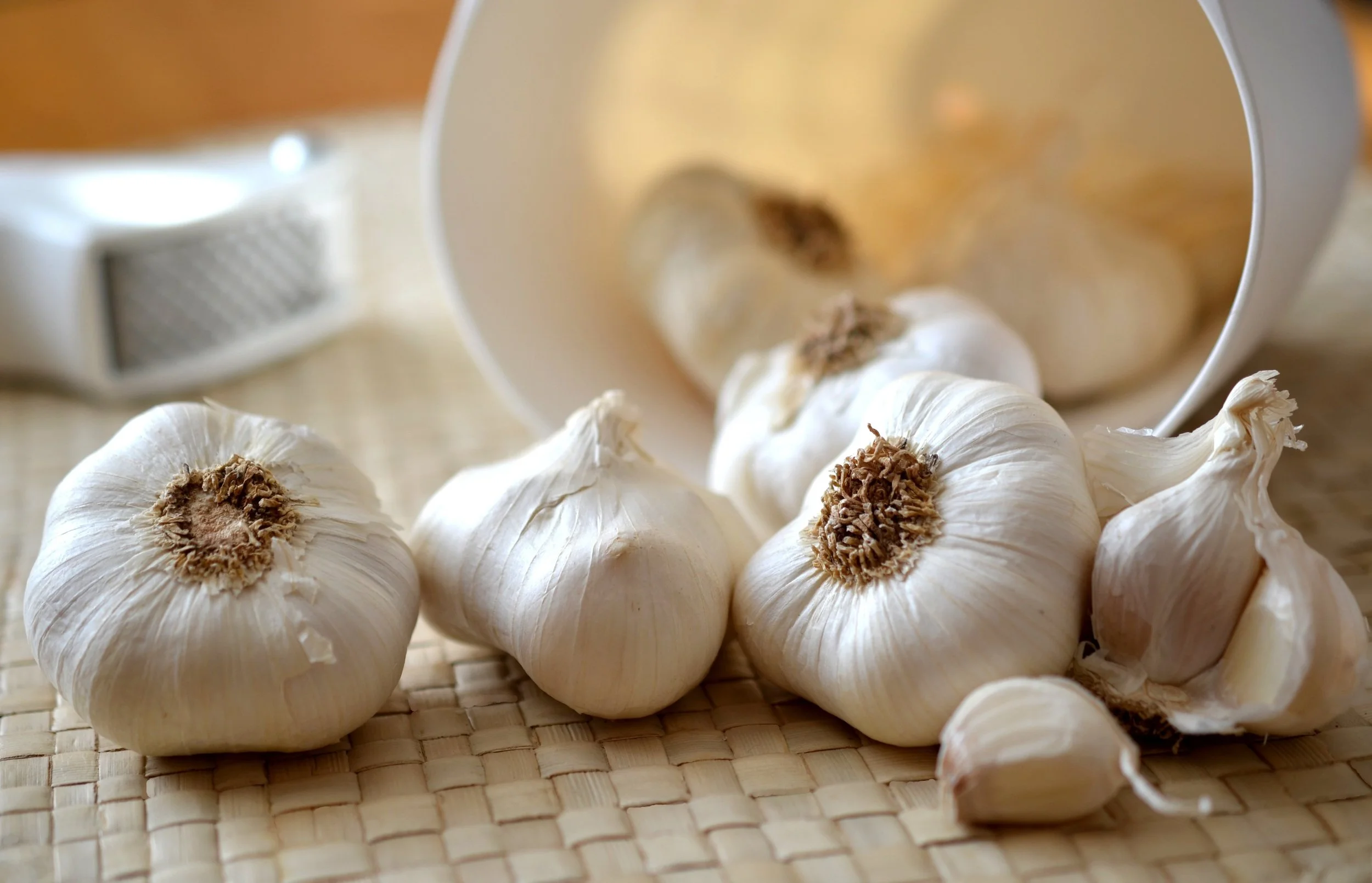 Softneck Garlic