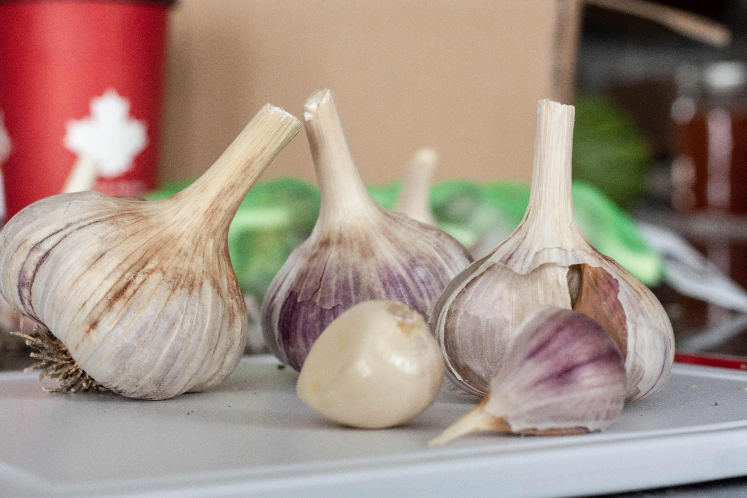 joshuavanhierden-garlic-5909422.jpg